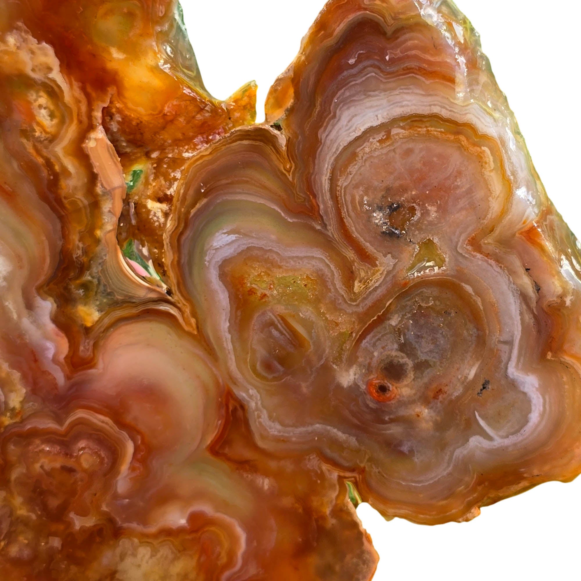 Fire Horizon Agate Slab – Fiery Orange Blooming Lace Druzy #3779-Photo3