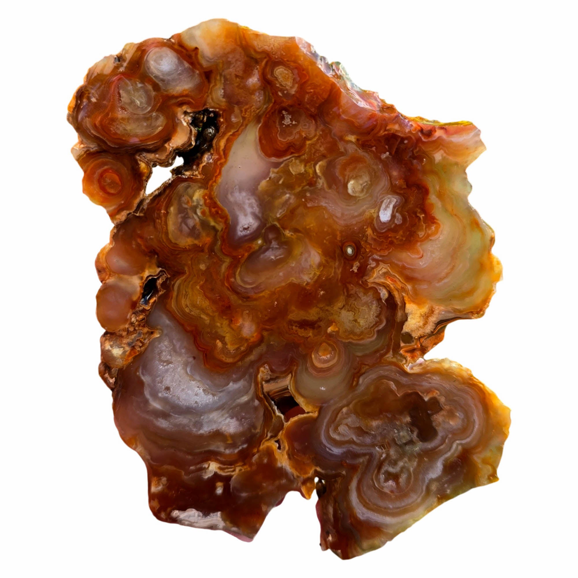 Fire Horizon Agate Slab – Fiery Orange Blooming Lace Druzy #3779-Photo4