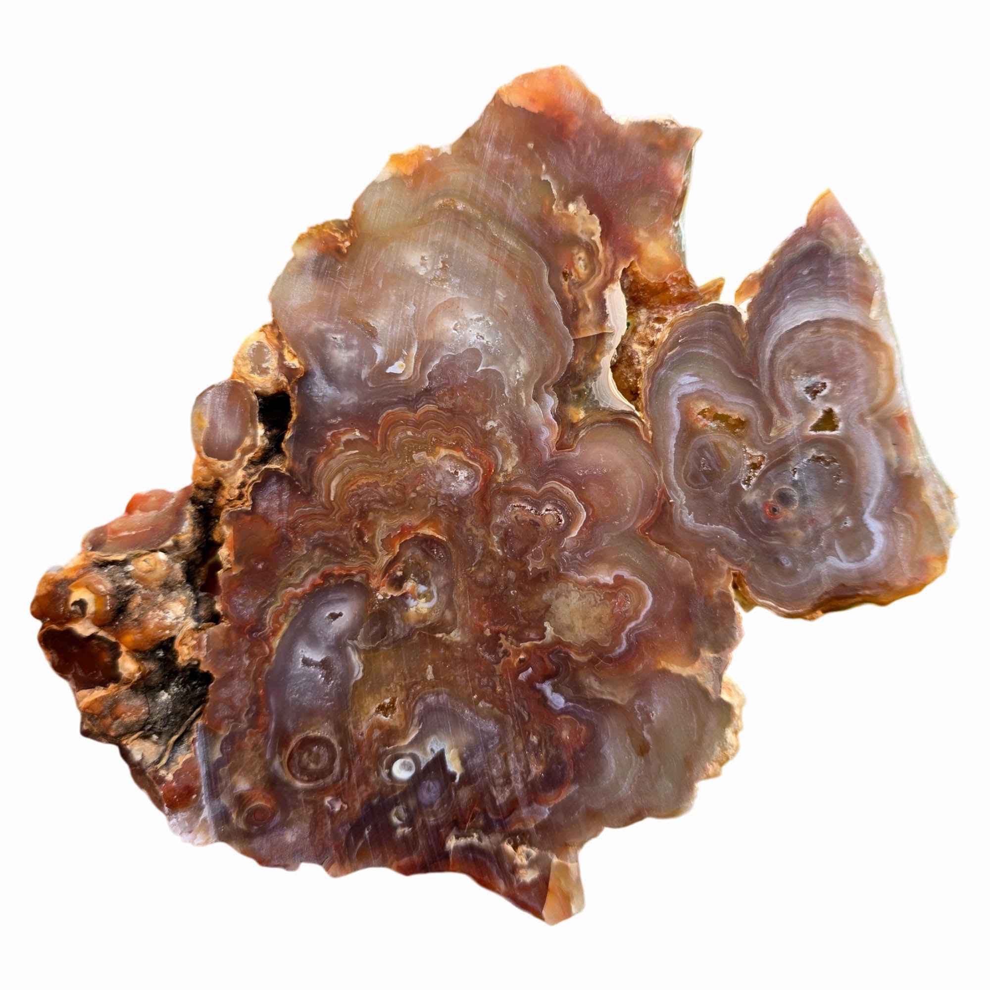 Fire Horizon Agate Slab Dry – Fiery Orange Blooming Lace Druzy #3779-Photo5