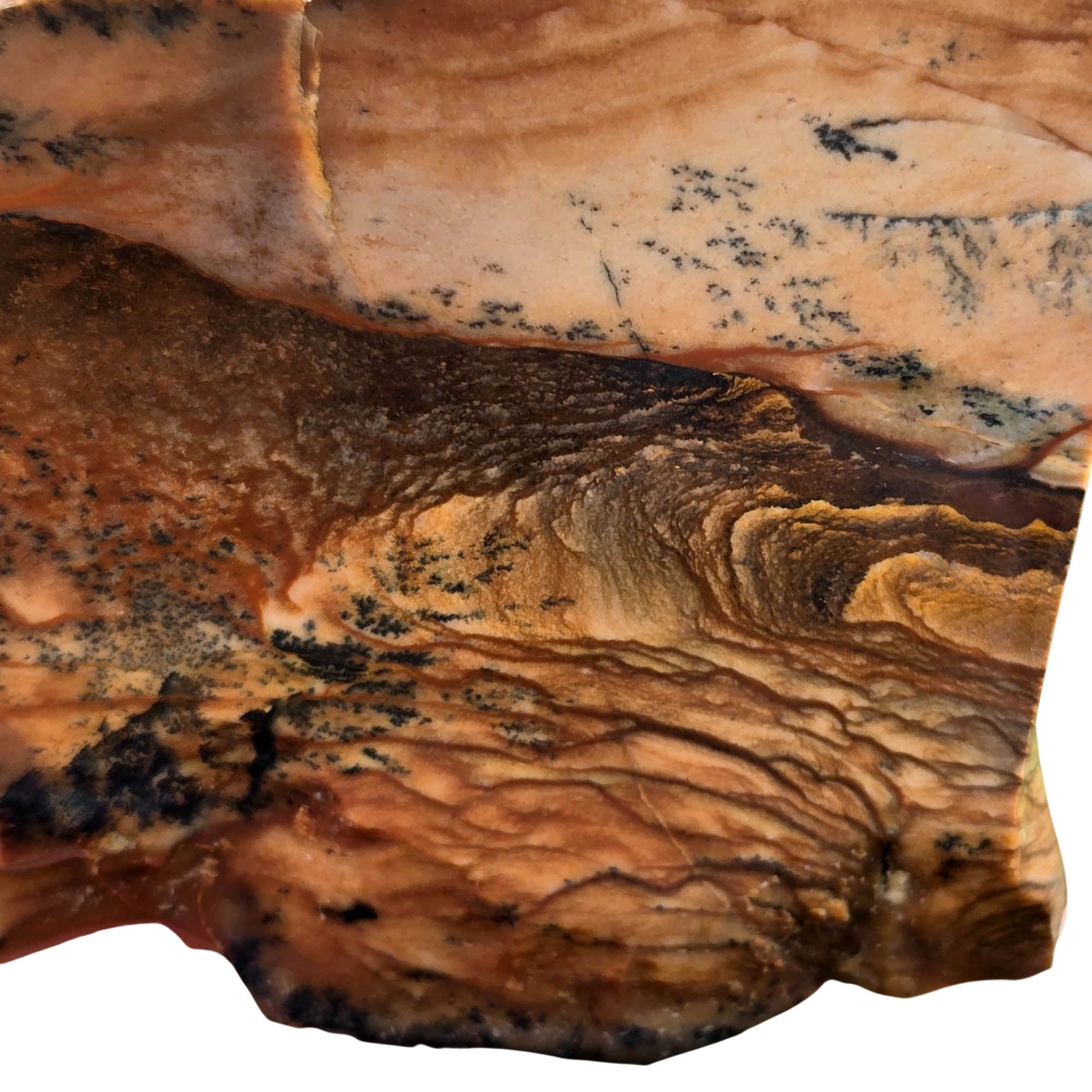 Biggs Picture Jasper Slab – Rolling Hills Valley Overlook Scene #3780-Photo2