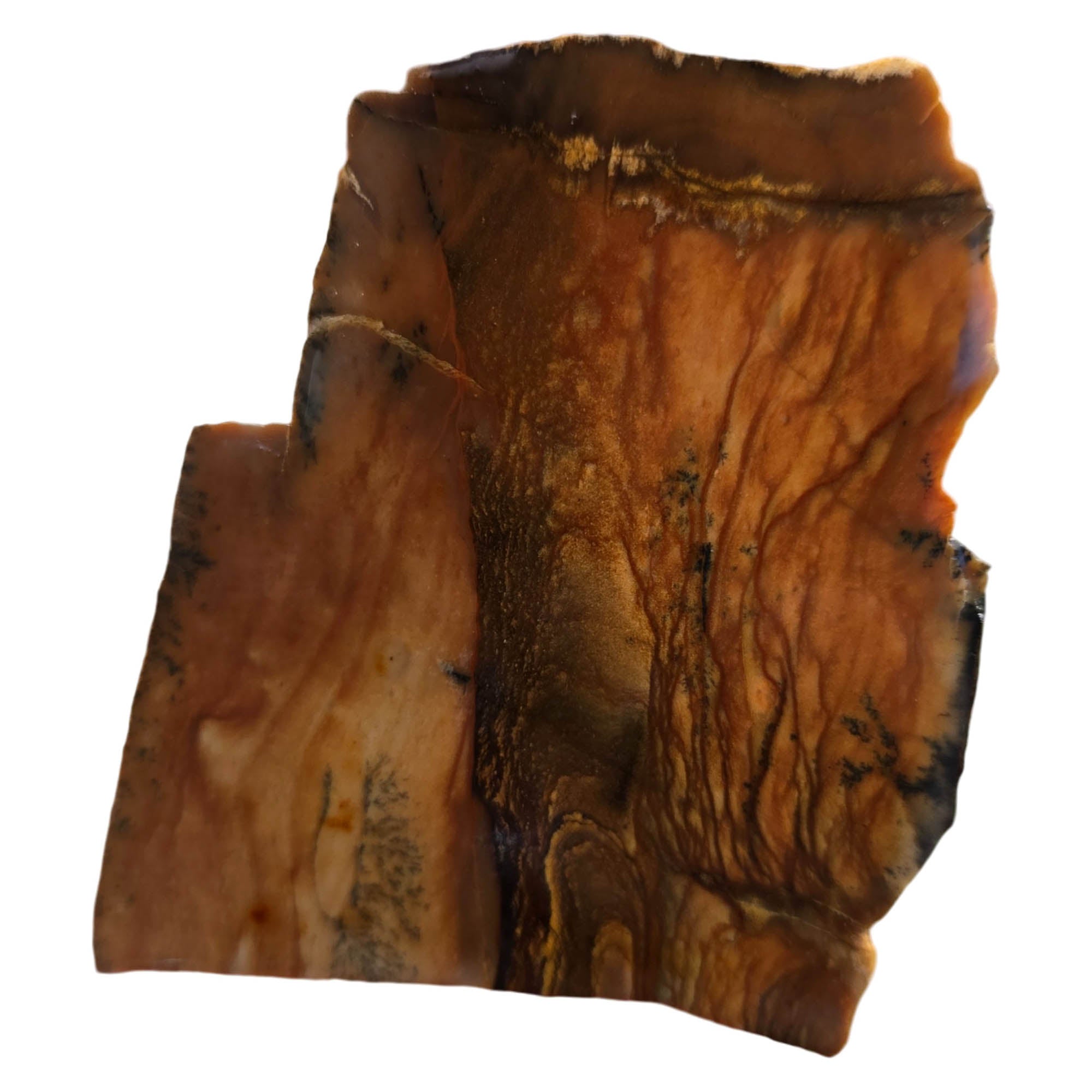 Biggs Picture Jasper Slab – Rolling Hills Valley Overlook Scene #3780-Photo3