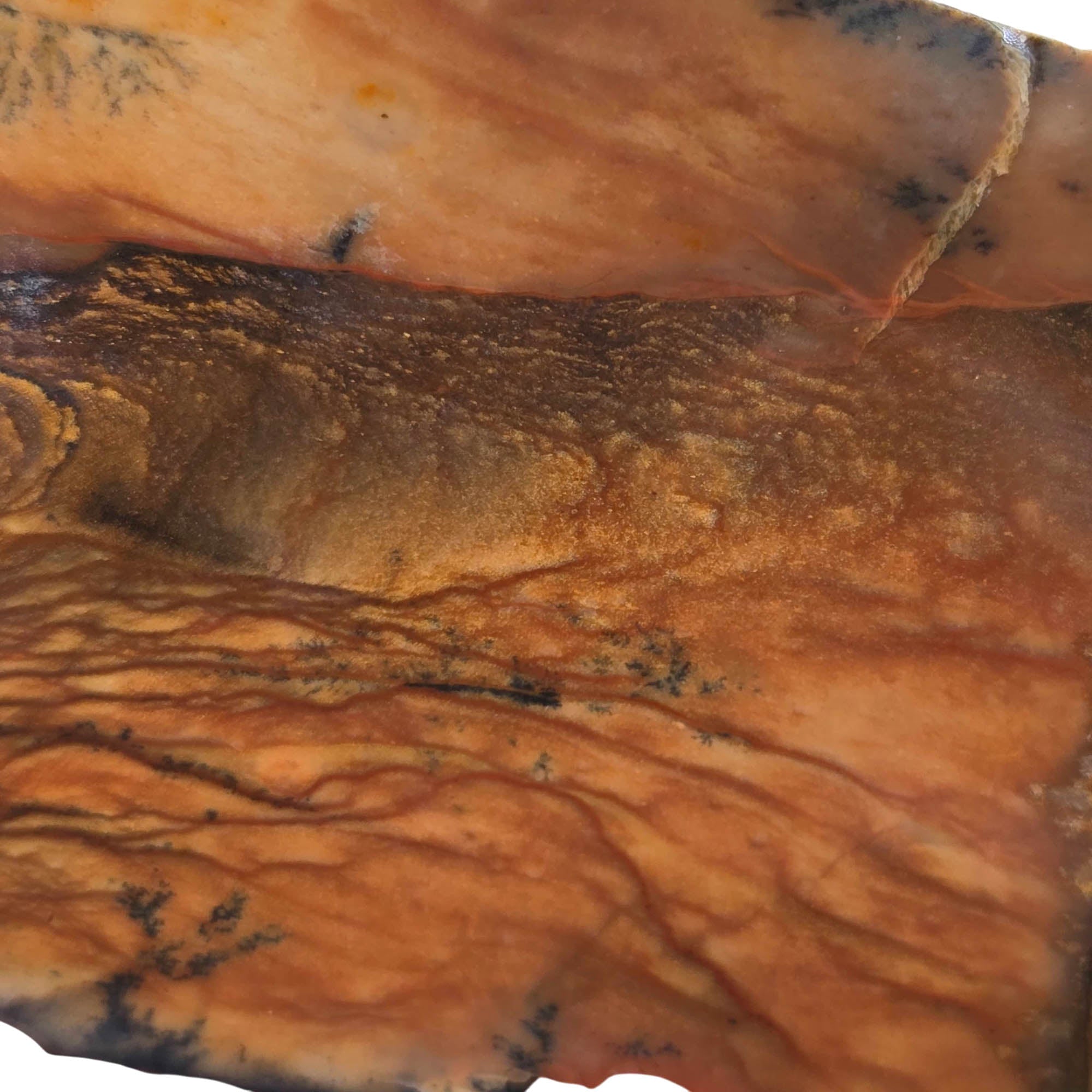 Biggs Picture Jasper Slab – Rolling Hills Valley Overlook Scene #3780-Photo4