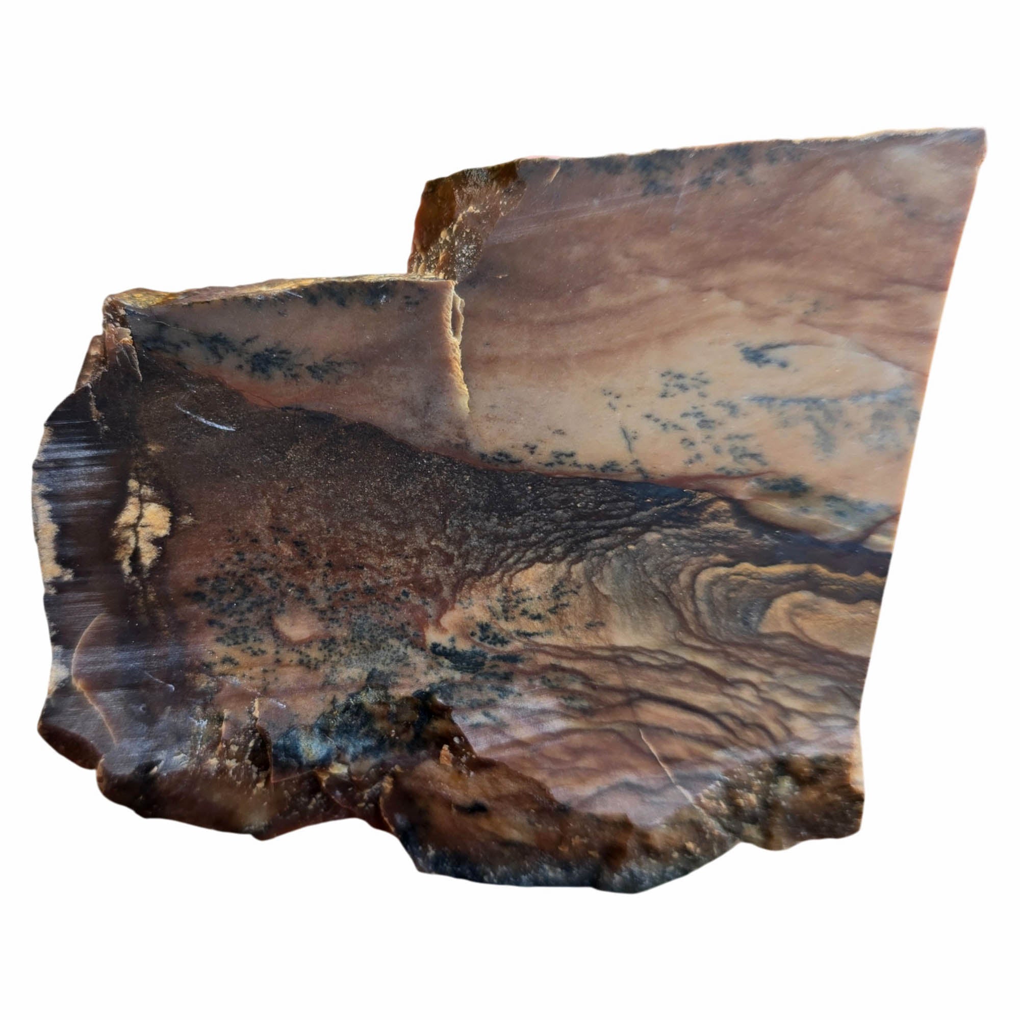 Biggs Picture Jasper Slab Dry – Rolling Hills Valley Overlook Scene #3780-Photo5