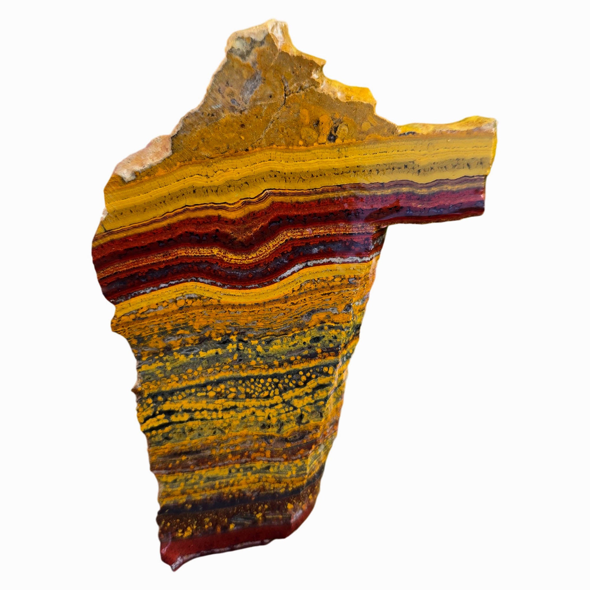 Apple Valley Jasper Slab – Red Golden Flowing Lines Oolitic Stromatolite #3782-Photo1