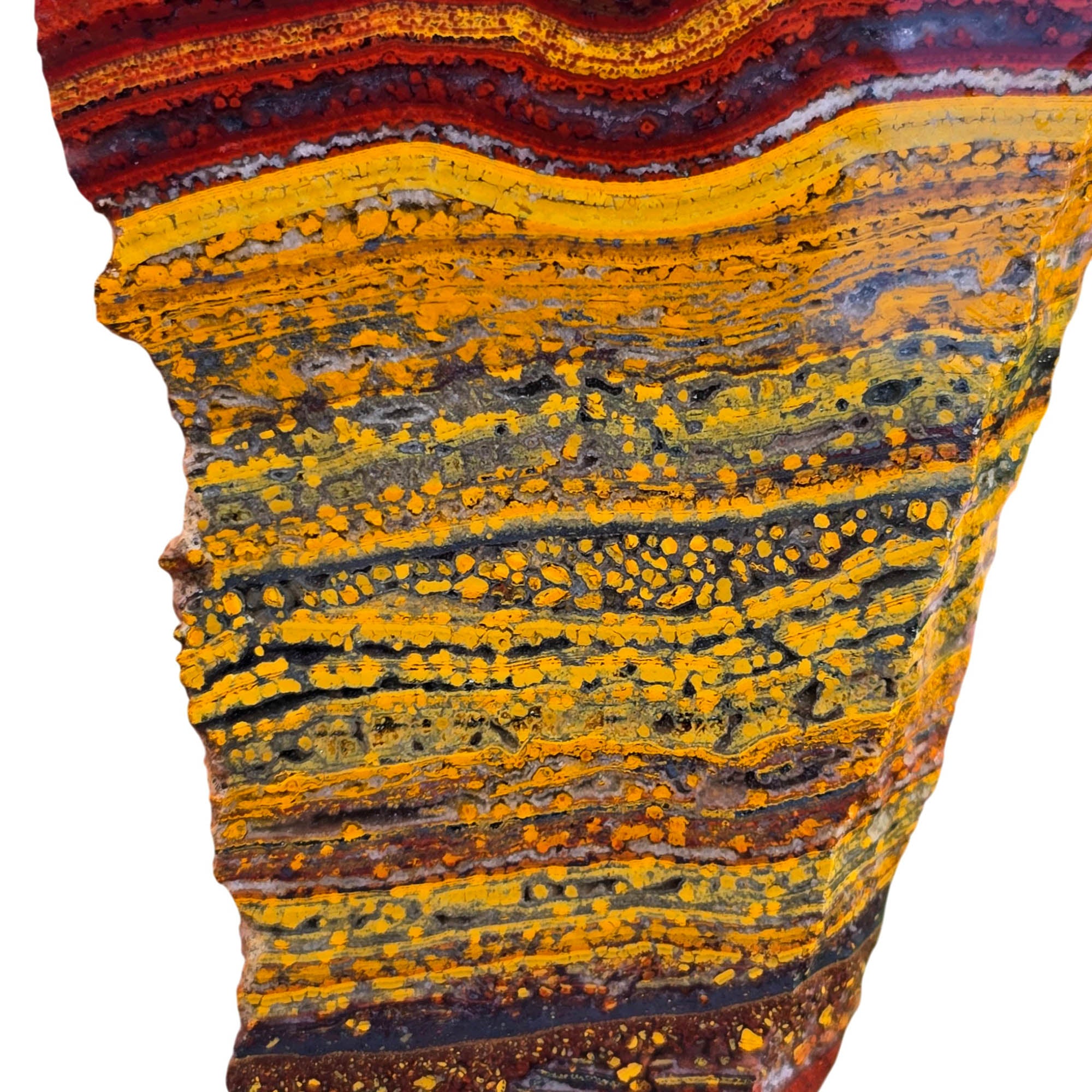 Apple Valley Jasper Slab – Red Golden Flowing Lines Oolitic Stromatolite #3782-Photo2