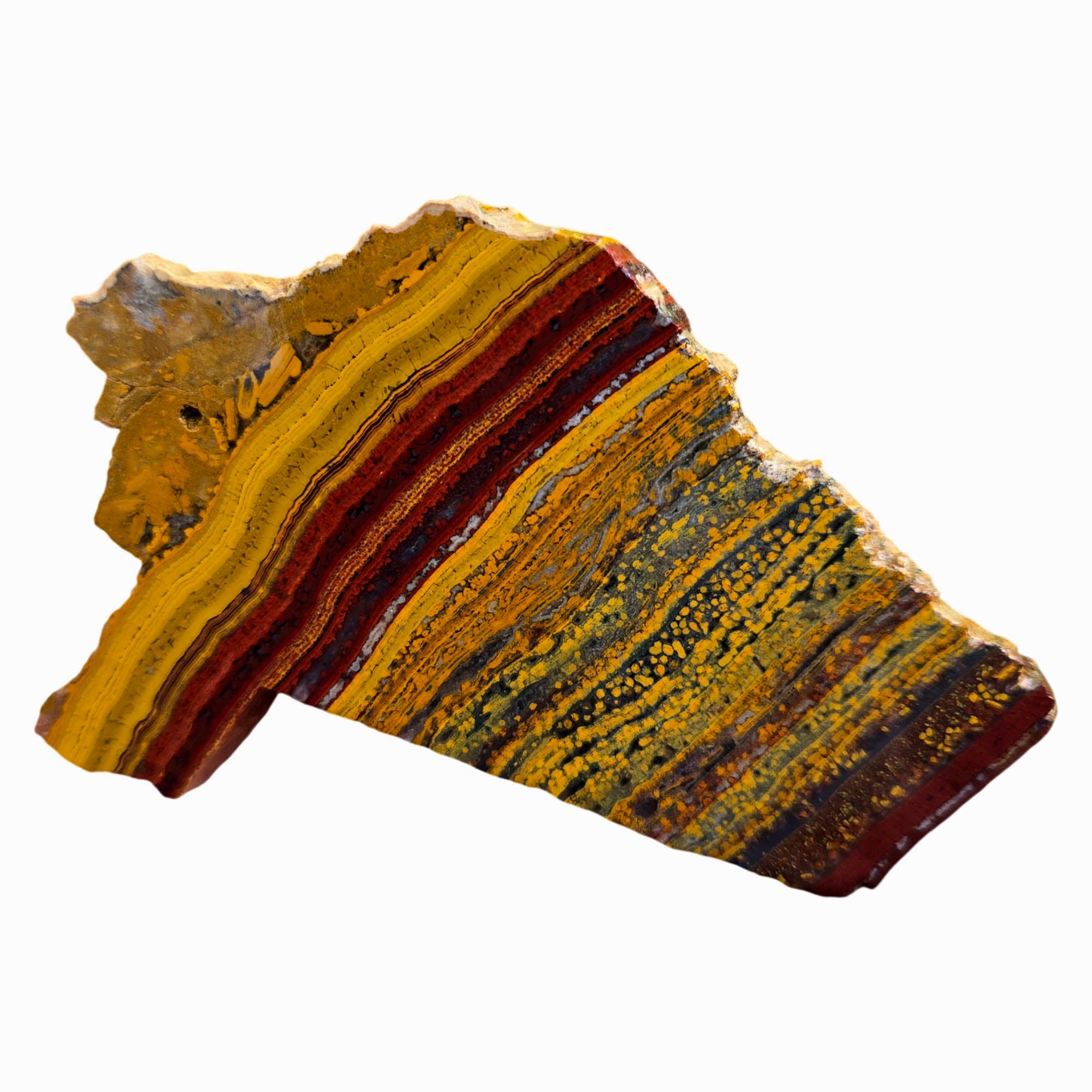 Apple Valley Jasper Slab – Red Golden Flowing Lines Oolitic Stromatolite #3782-Photo4