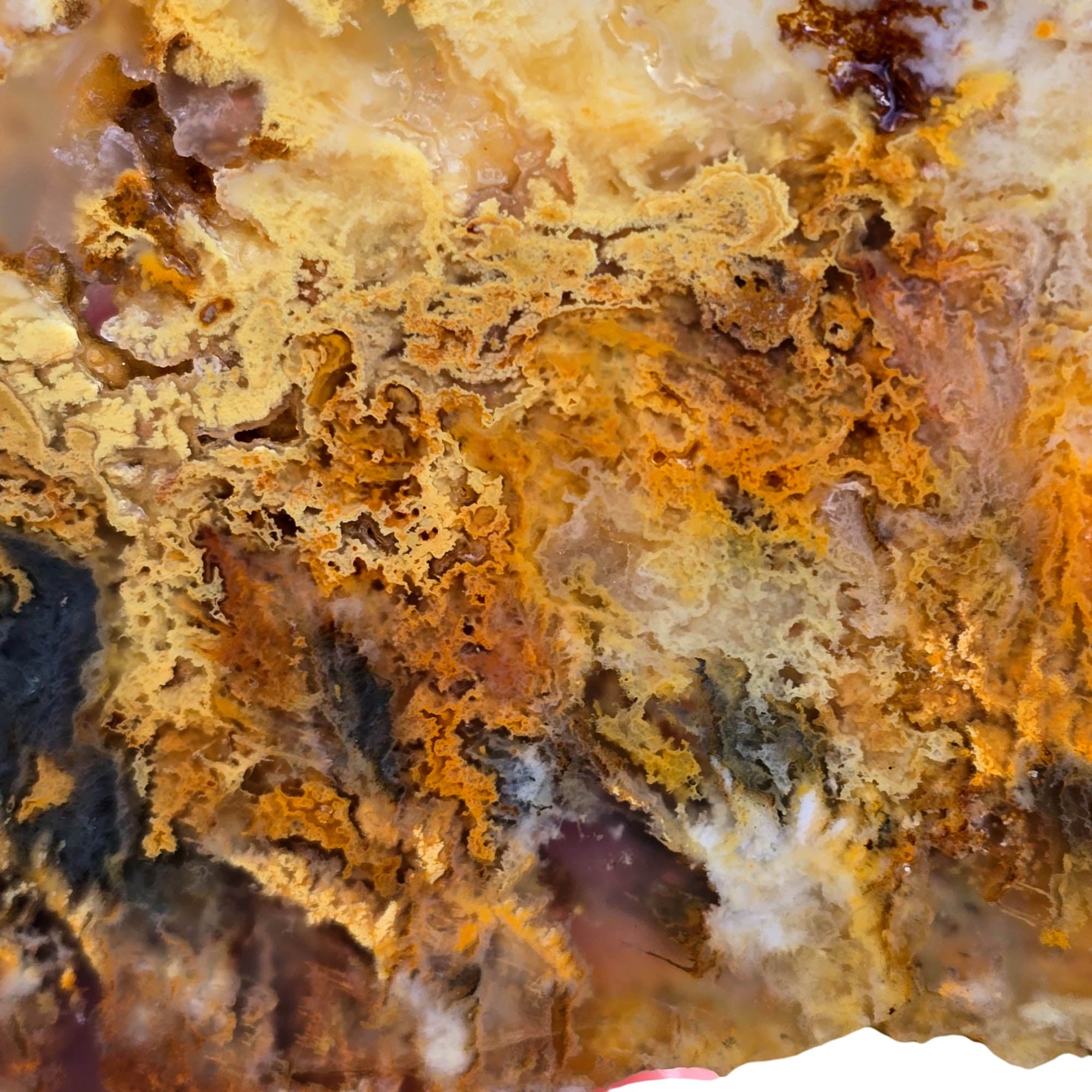 Regency Rose Plume Agate Slab – Hematite Red Smoky Fiery #3783-Photo3