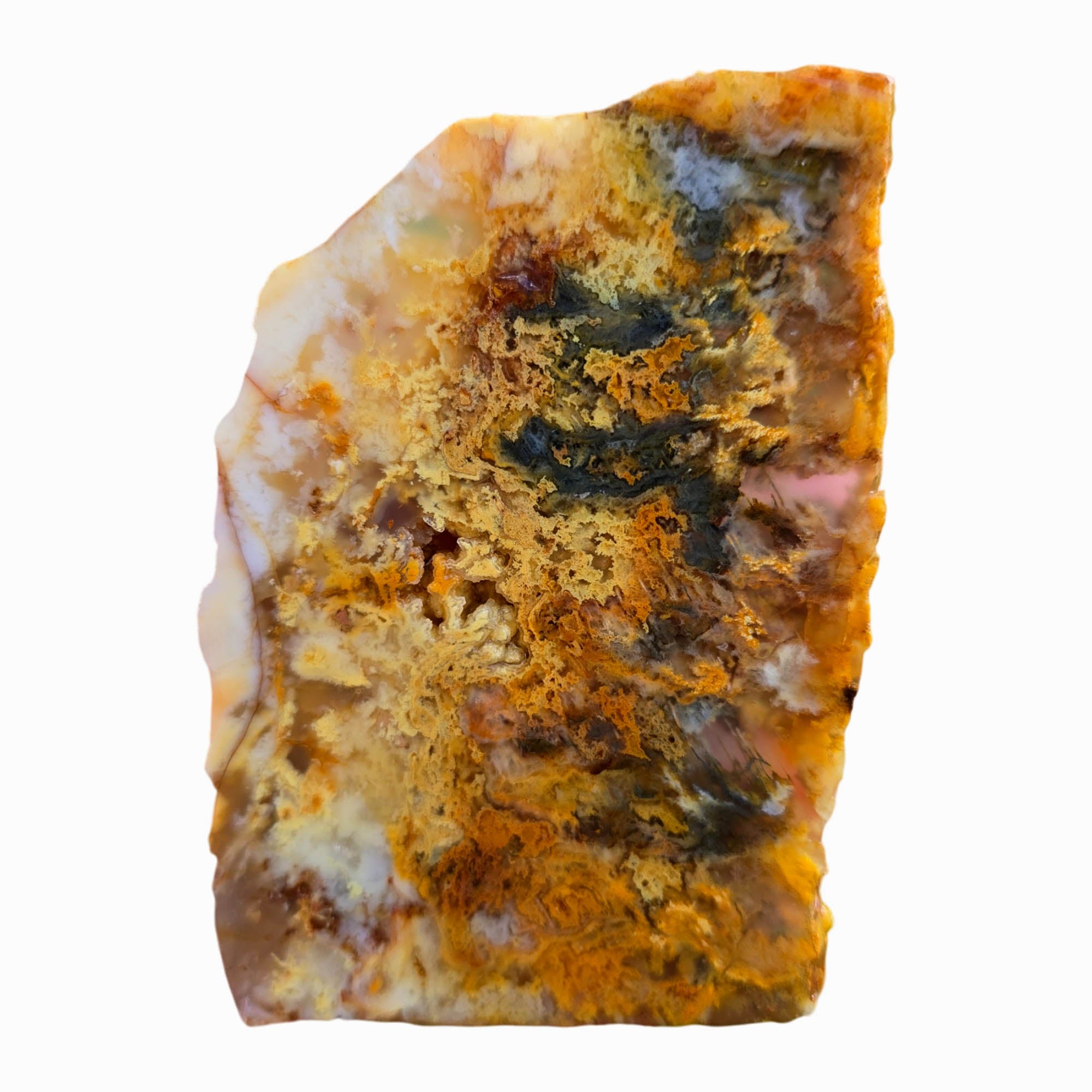 Regency Rose Plume Agate Slab – Hematite Red Smoky Fiery #3783-Photo4