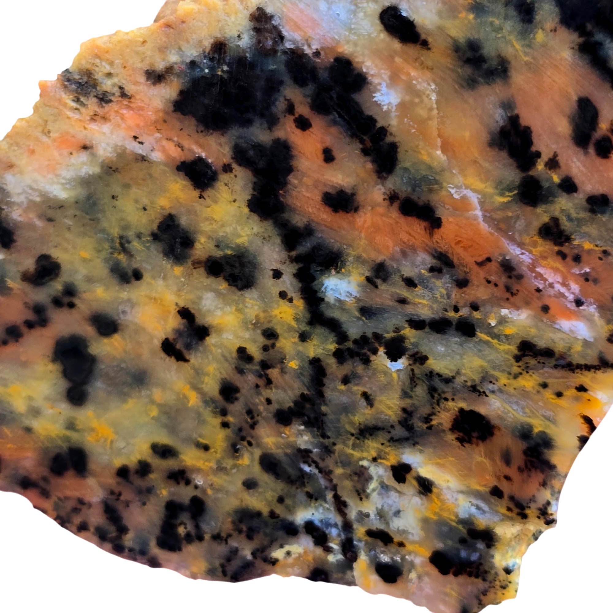 Cheetah Stone Slab – Classic Spotted Pattern Black Dots Brazil #3784-Photo2