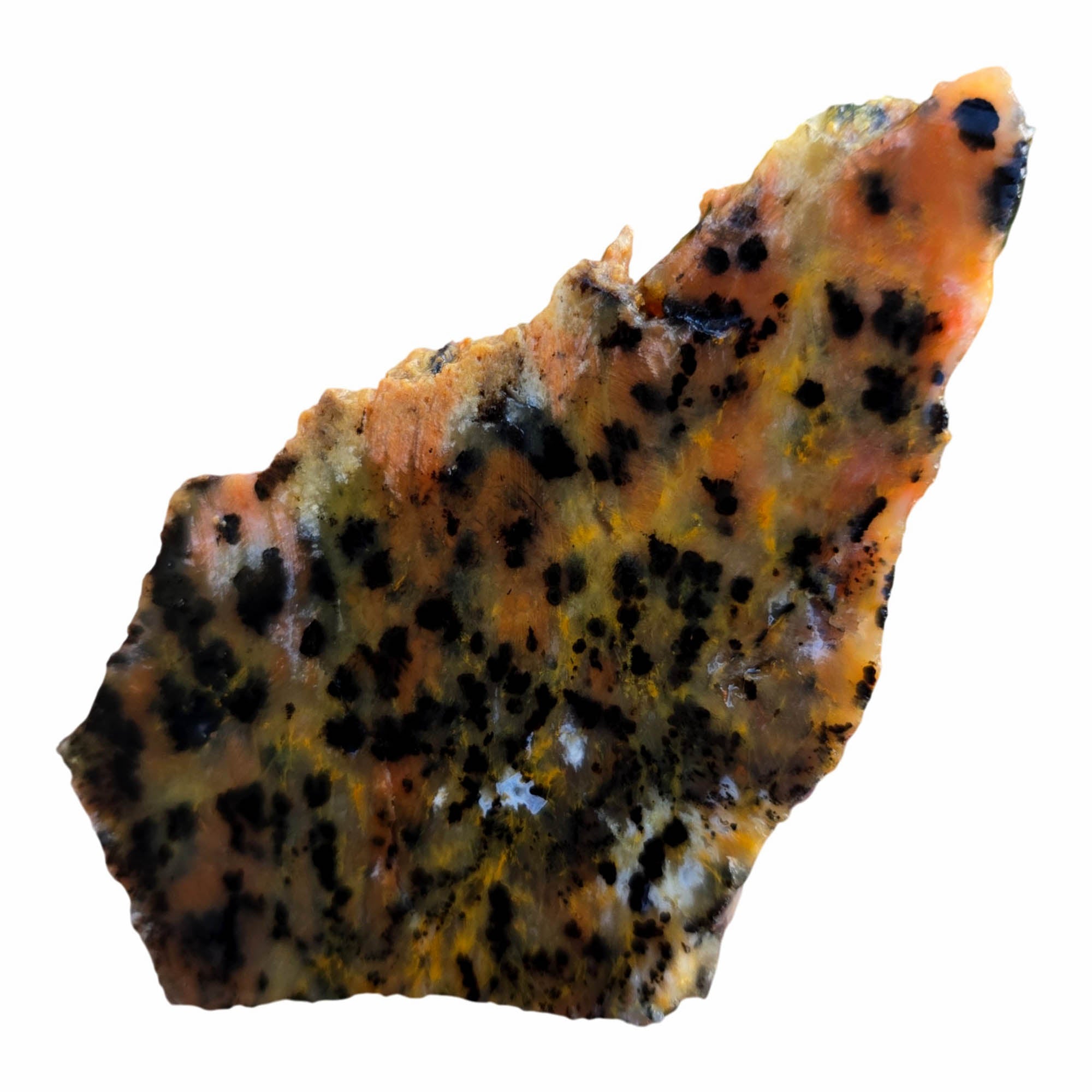 Cheetah Stone Slab – Classic Spotted Pattern Black Dots Brazil #3784-Photo3