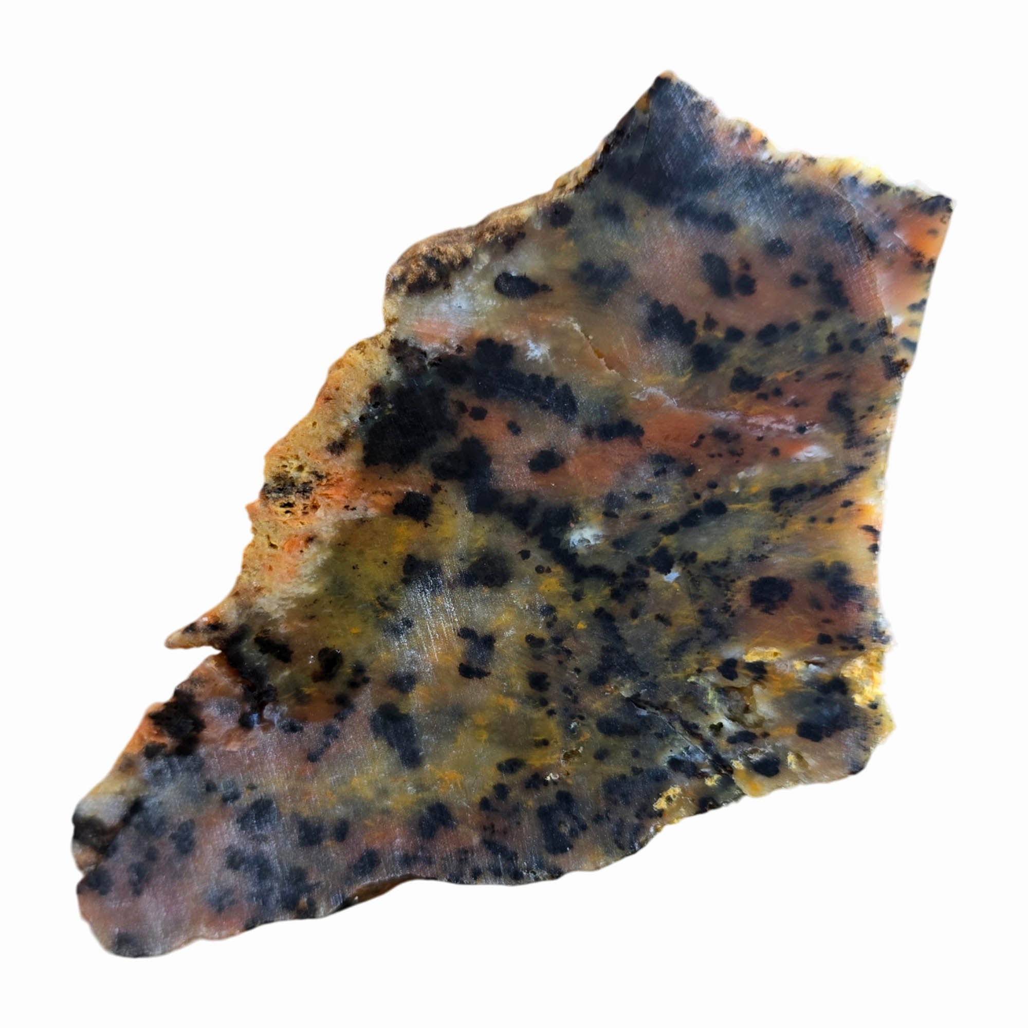 Cheetah Stone Slab Dry – Classic Spotted Pattern Black Dots Brazil #3784-Photo4