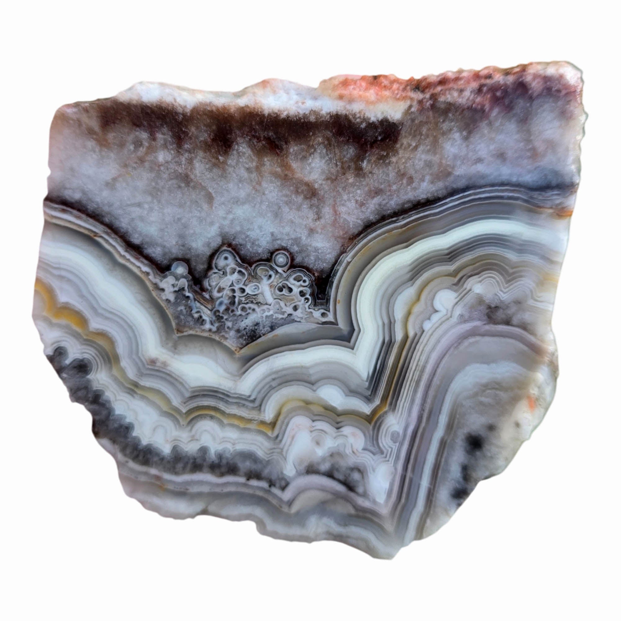 Crazy Lace Agate Slab – Sharp Well-Defined Lace Patterns Mexico #3785-Photo1