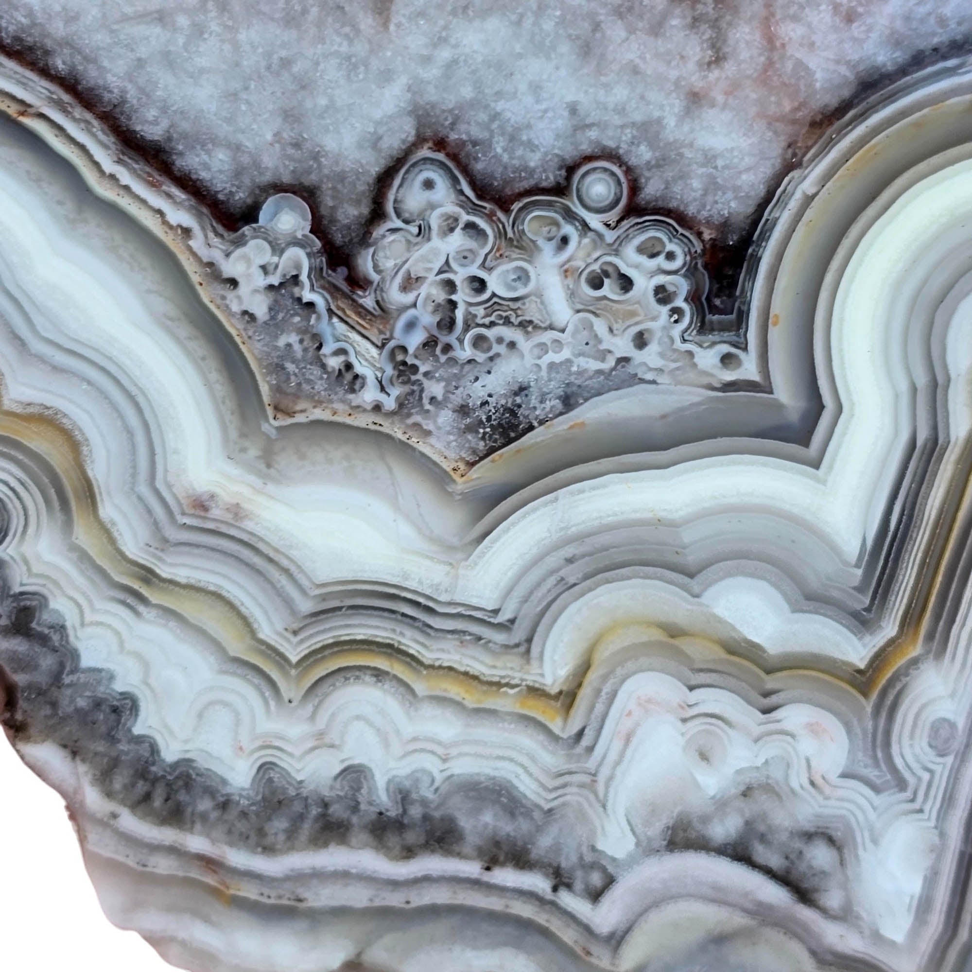 Crazy Lace Agate Slab – Sharp Well-Defined Lace Patterns Mexico #3785-Photo2