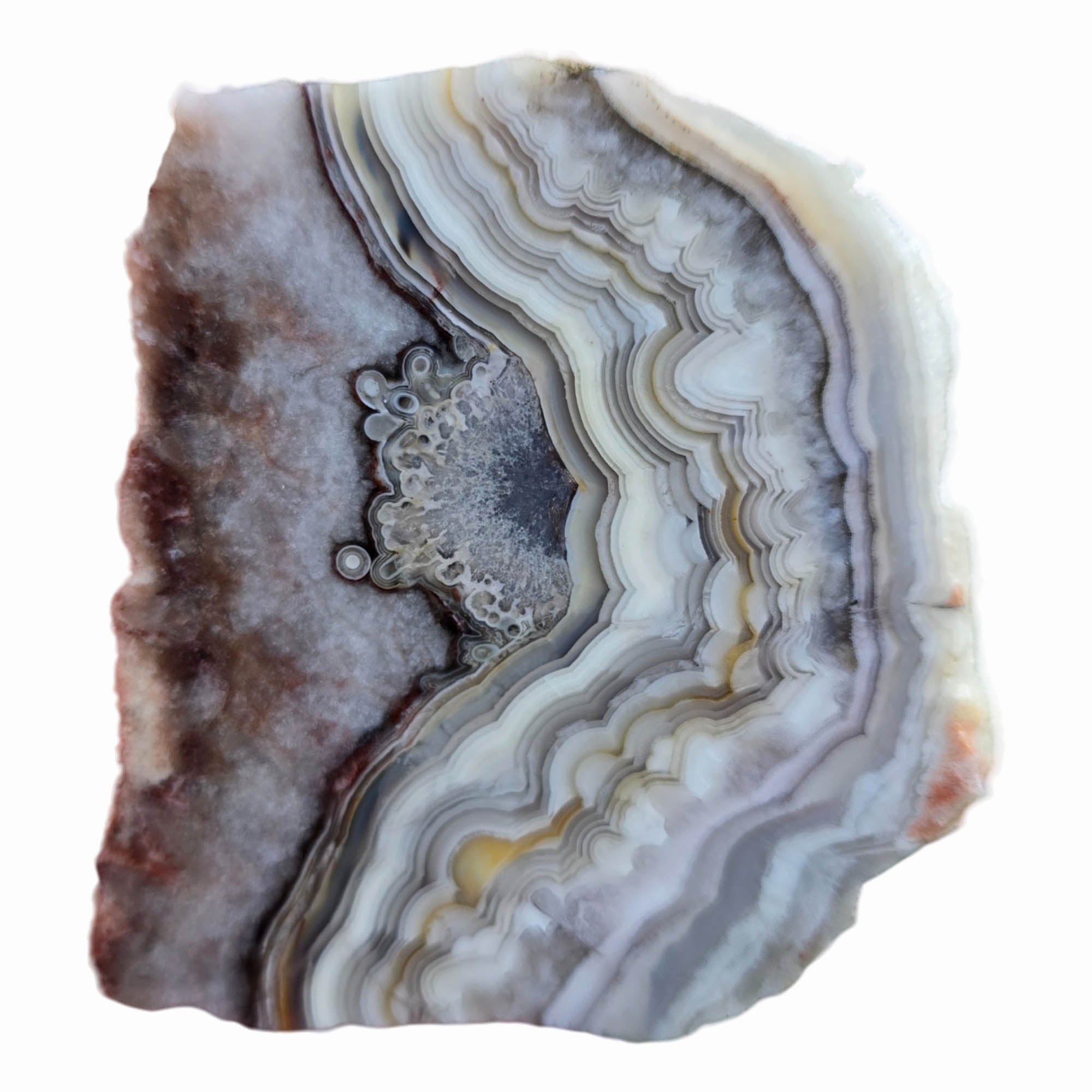 Crazy Lace Agate Slab – Sharp Well-Defined Lace Patterns Mexico #3785-Photo3
