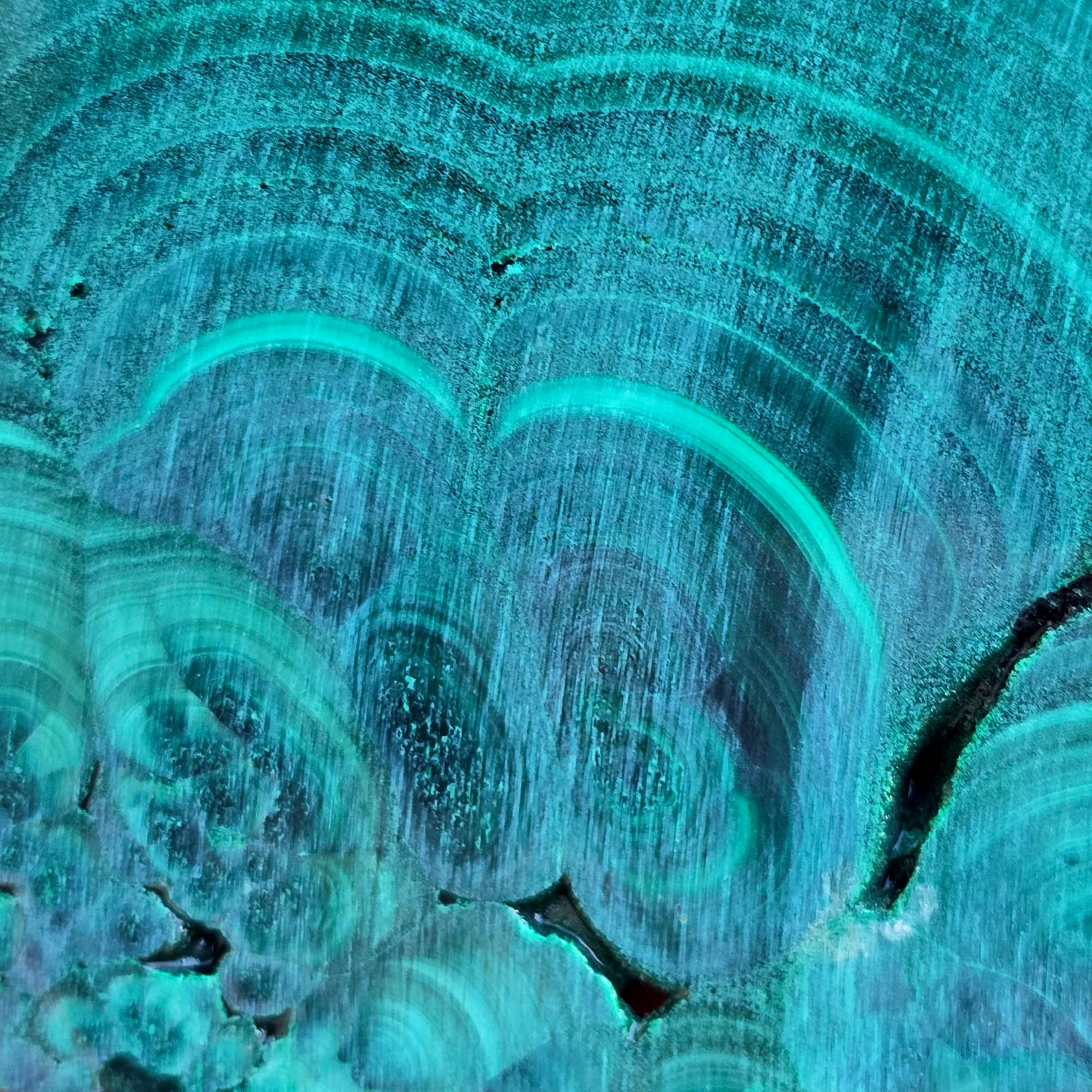 Malachite Slab – Bright Green Chatoyant Lace Patterns Copper Mineral #3787-Photo3