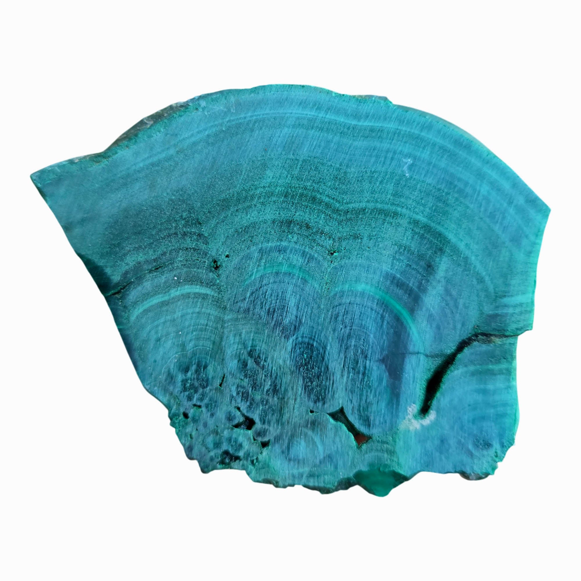 Malachite Slab Dry – Bright Green Chatoyant Lace Patterns Copper Mineral #3787-Photo5