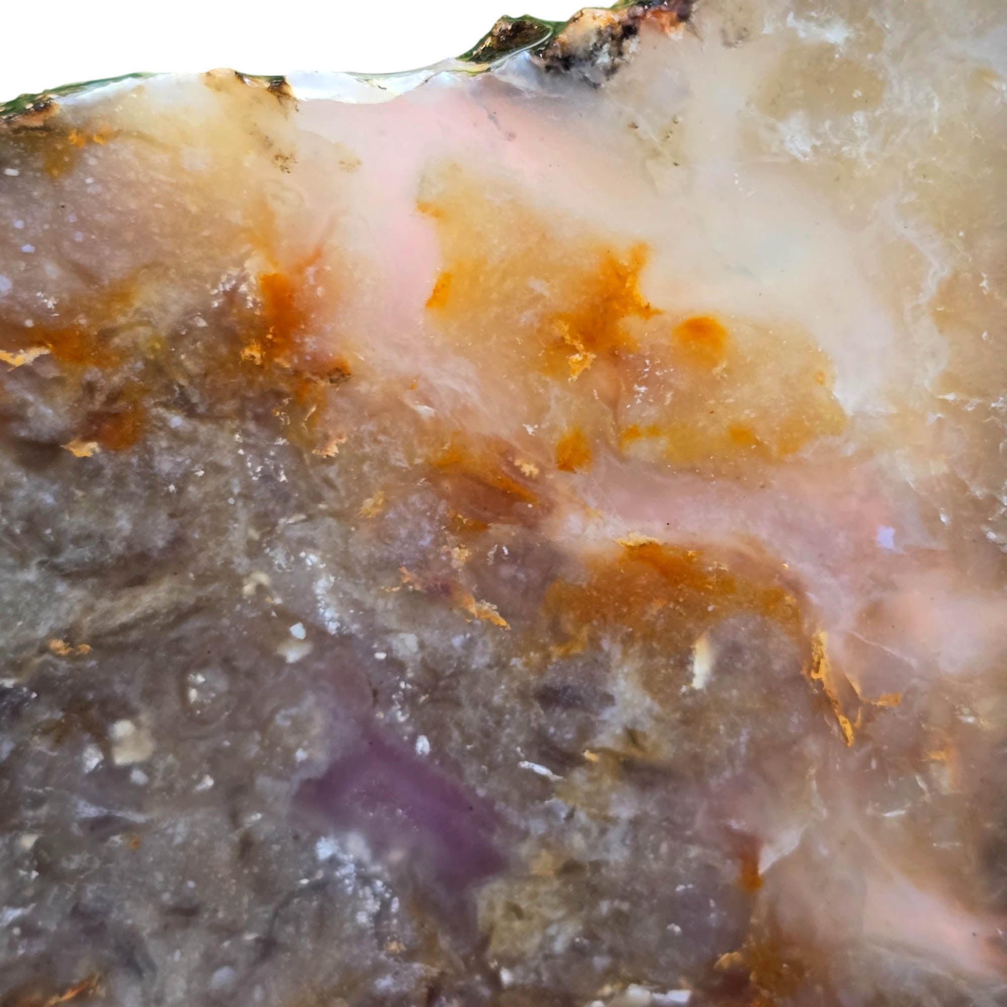 Coprolite Slab – Classic Pattern Detail – Utah Fossil! #3789-Photo2