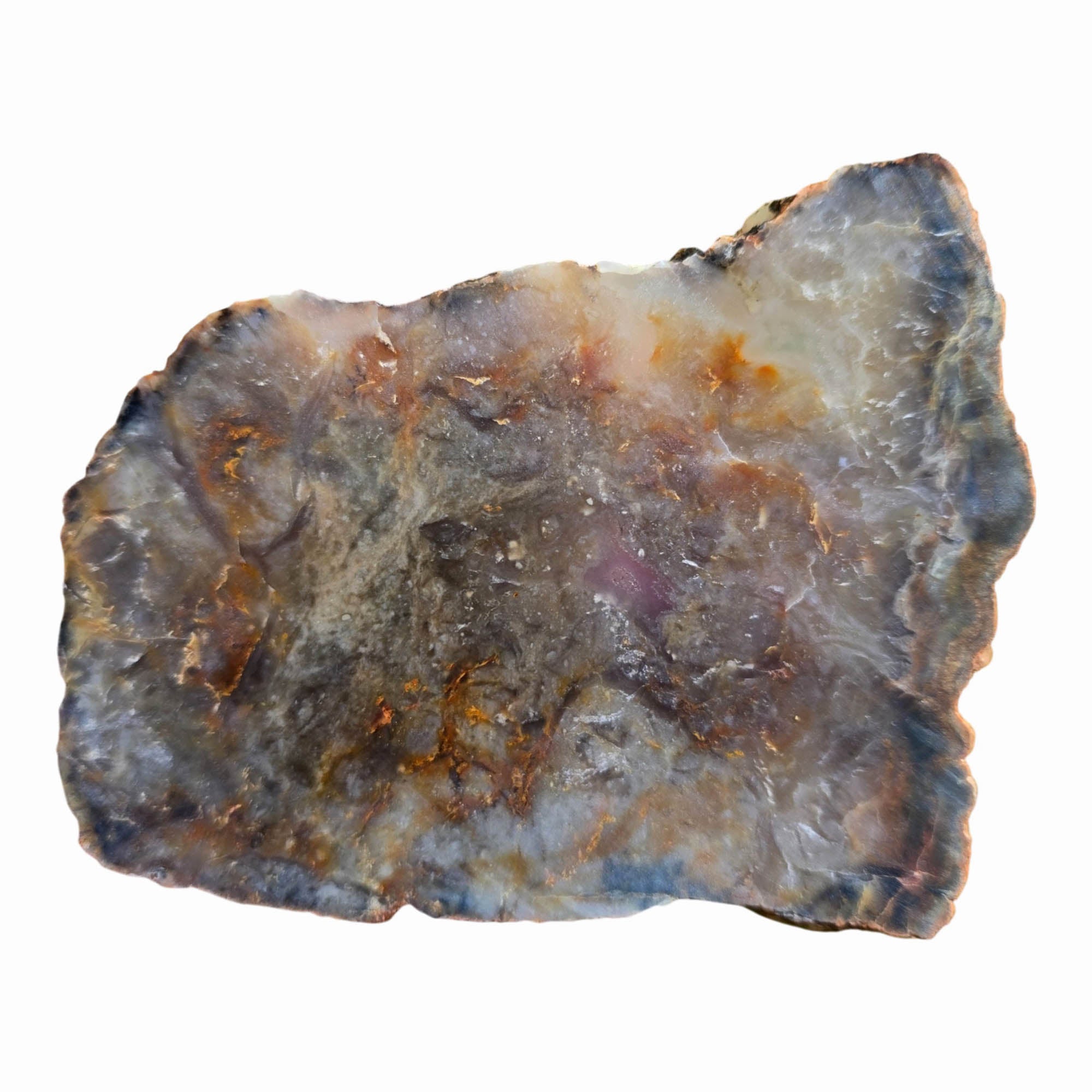 Coprolite Slab Dry – Classic Pattern Detail – Utah Fossil! #3789-Photo4