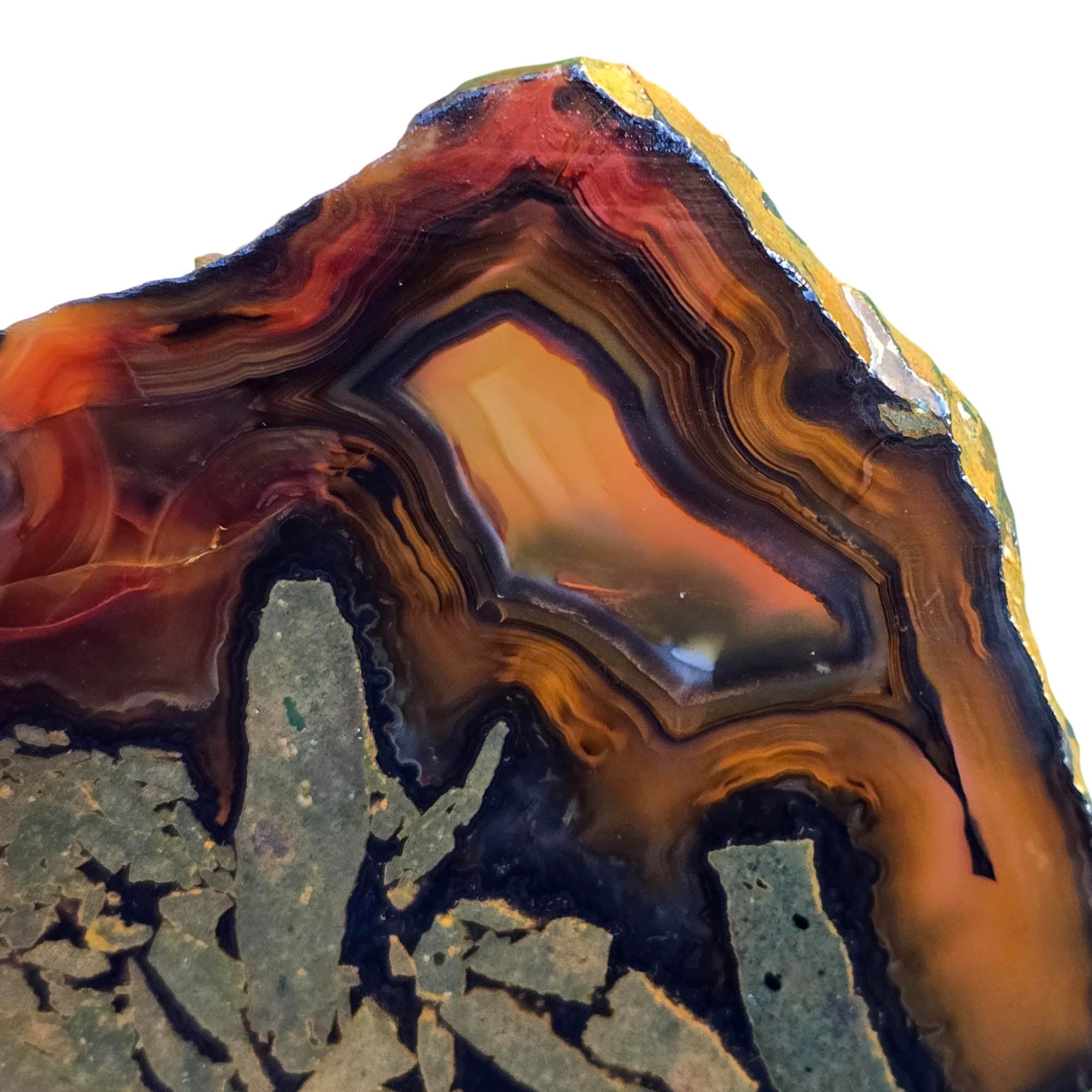 Piranha Agate Slab – Orange Red Banding Brazilian Variety Wet #3792-Photo3