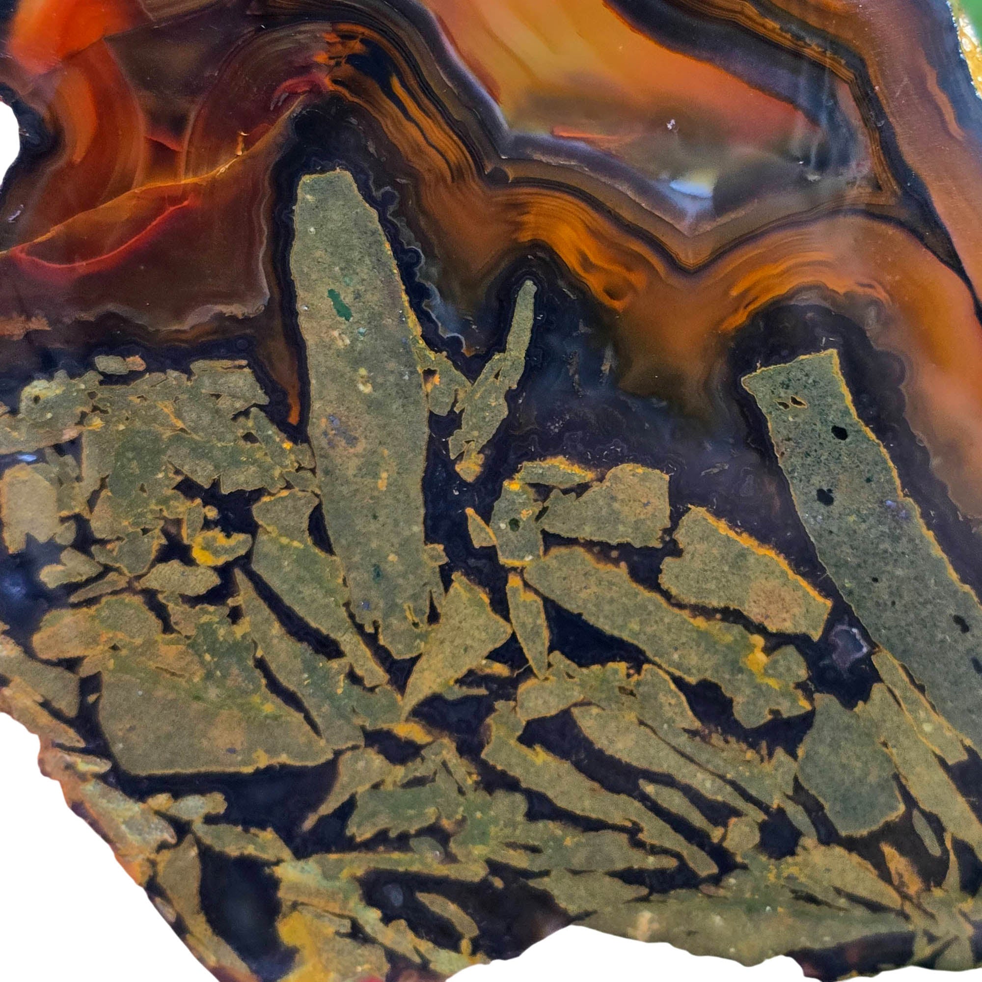 Piranha Agate Slab – Orange Red Banding Brazilian Variety Wet #3792-Photo4