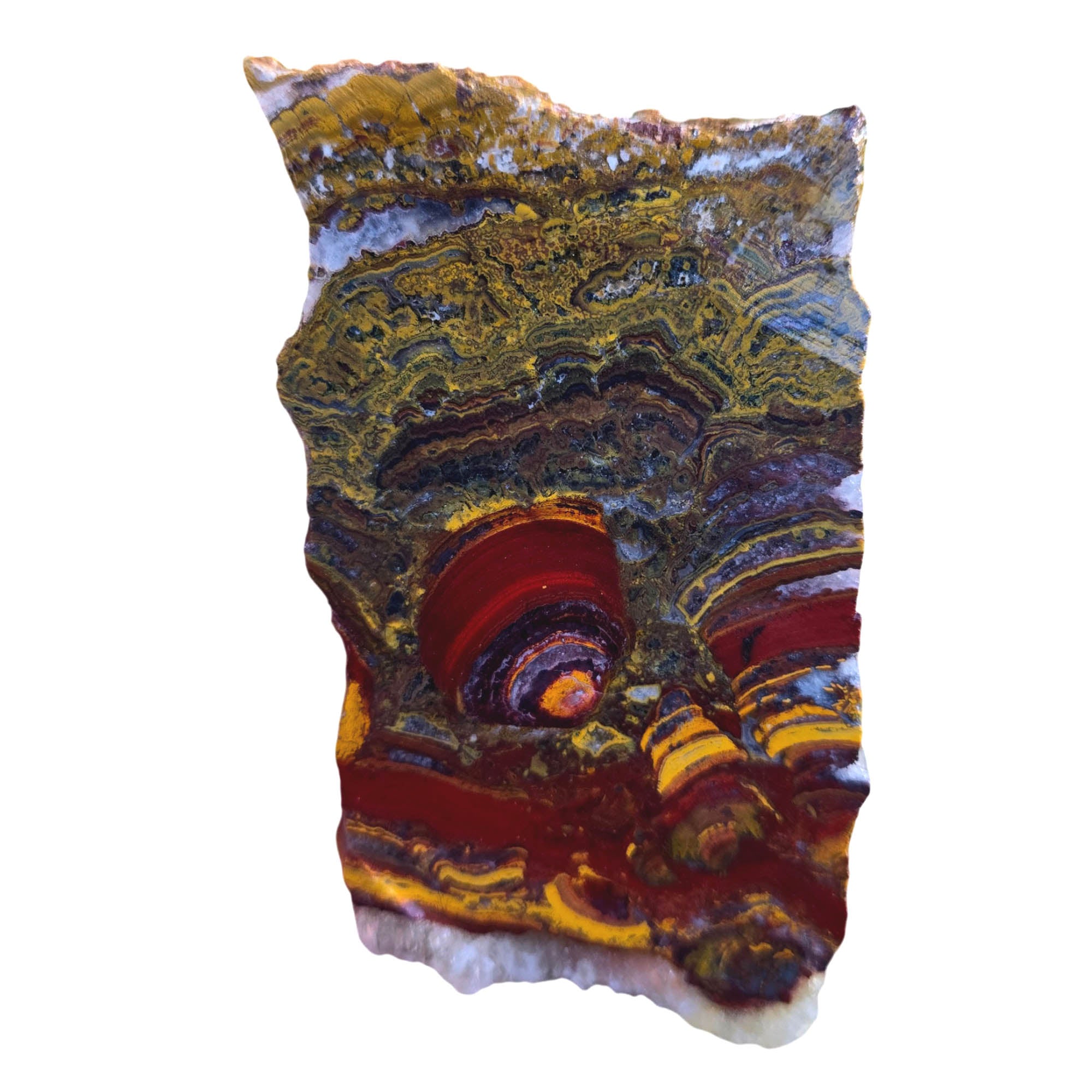 Apple Valley Jasper Slab – Brushstroke Flowering Stromatolite Hematite Pattern #3793-Photo3