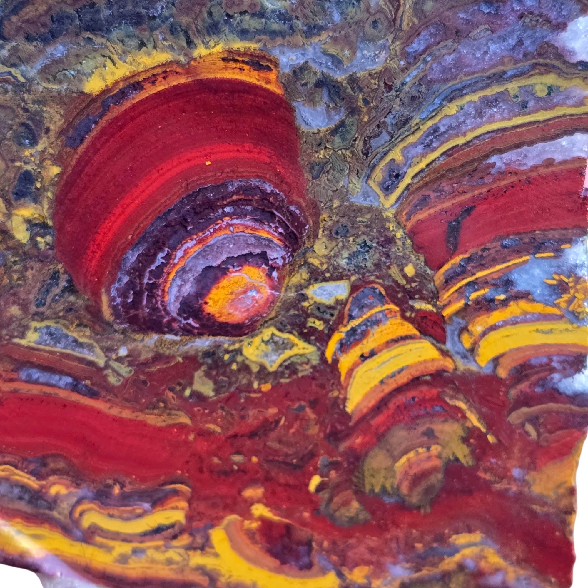 Apple Valley Jasper Slab – Brushstroke Flowering Stromatolite Hematite Pattern #3793-Photo2