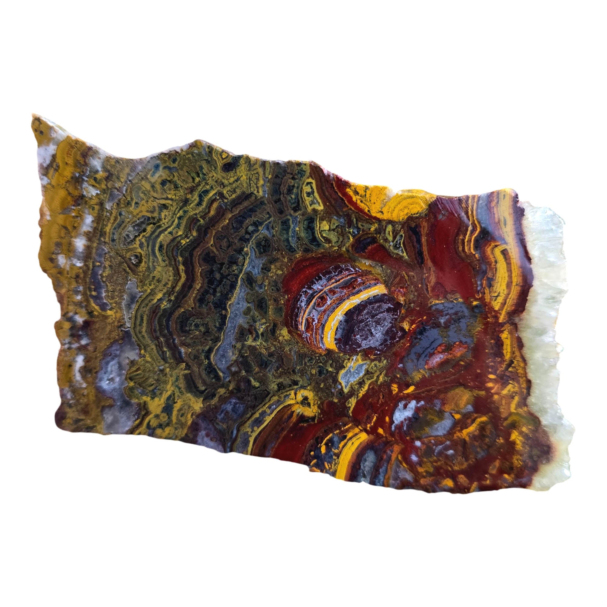 Apple Valley Jasper Slab – Brushstroke Flowering Stromatolite Hematite Pattern #3793-Photo5