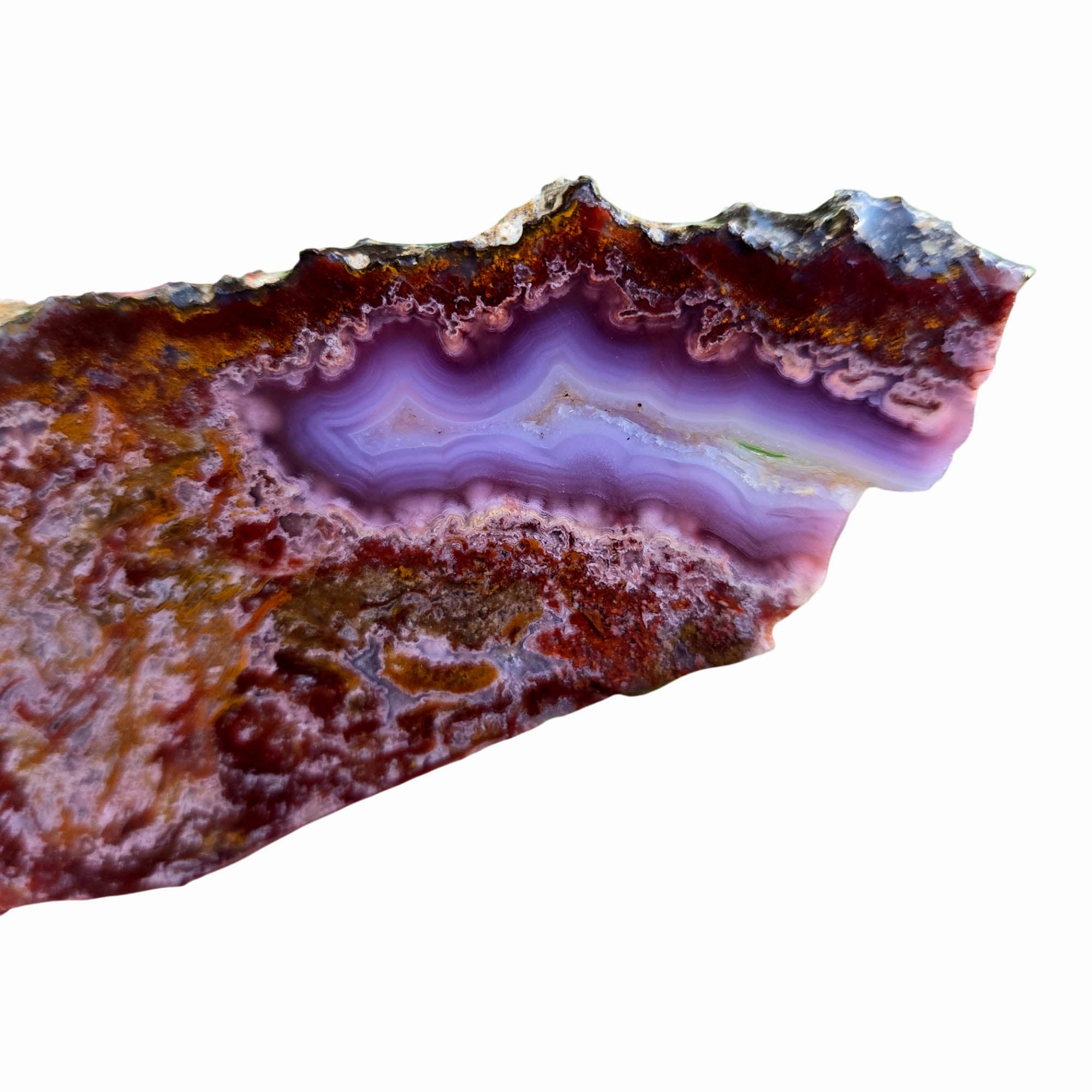 Agua Nueva Agate Slab - Purple Fortification Druzy Gold Accent #3795-Photo3