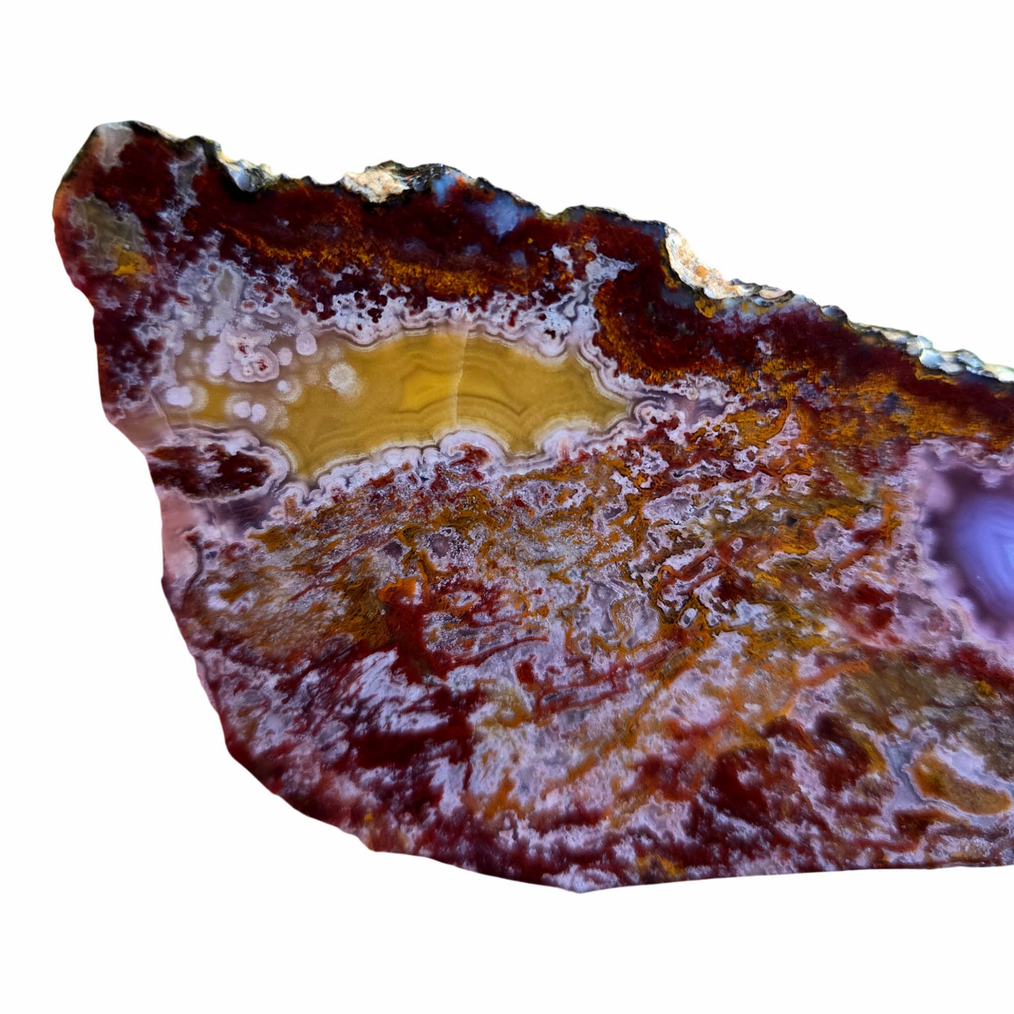 Agua Nueva Agate Slab - Purple Fortification Druzy Gold Accent #3795-Photo4