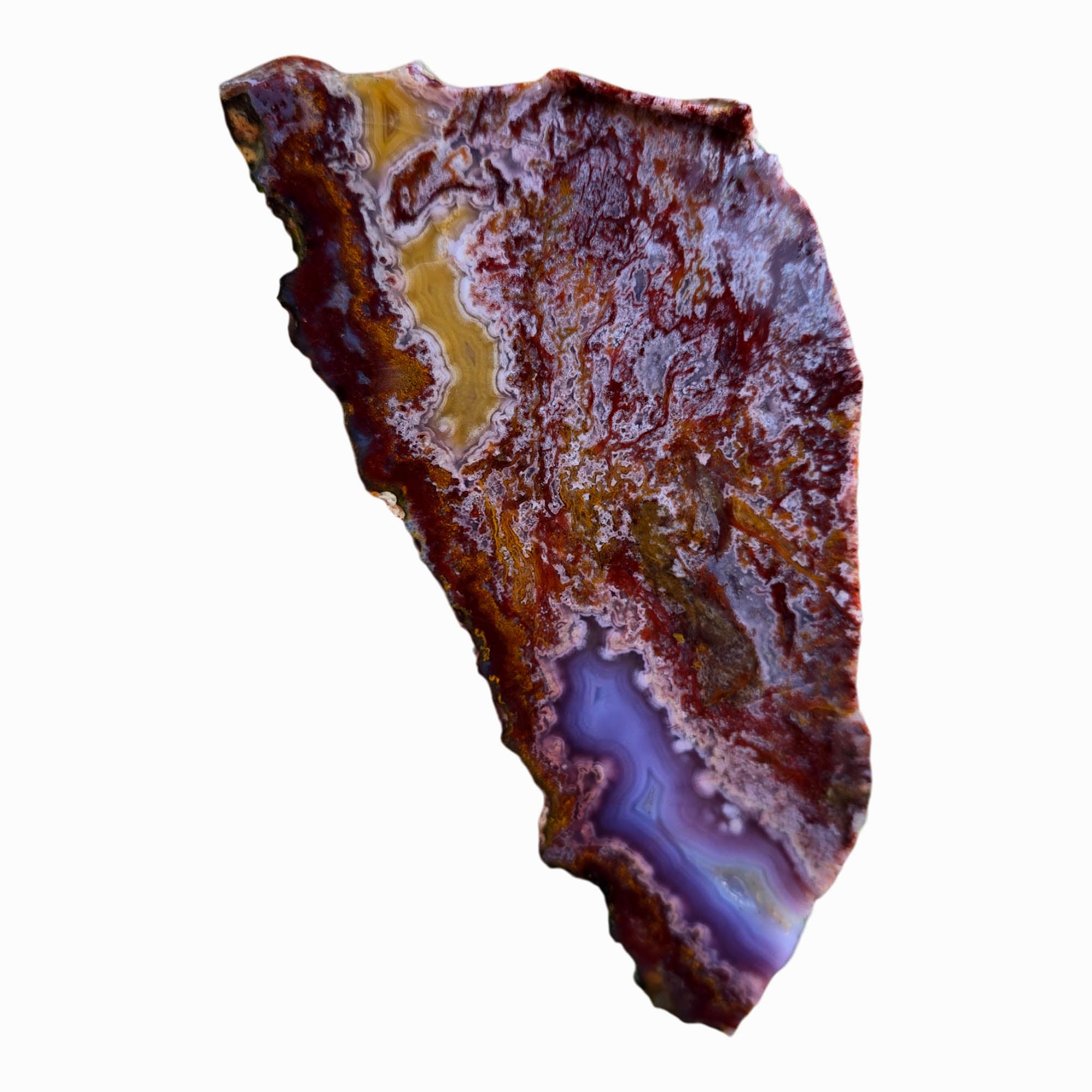 Agua Nueva Agate Slab - Purple Fortification Druzy Gold Accent #3795-Photo5