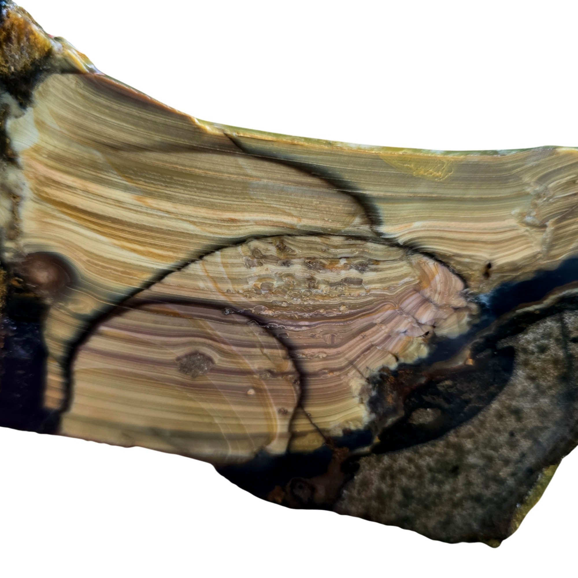 Blue Mountain Jasper Slab - Stacked Orbs Paintbrush Pattern #3800-Photo3