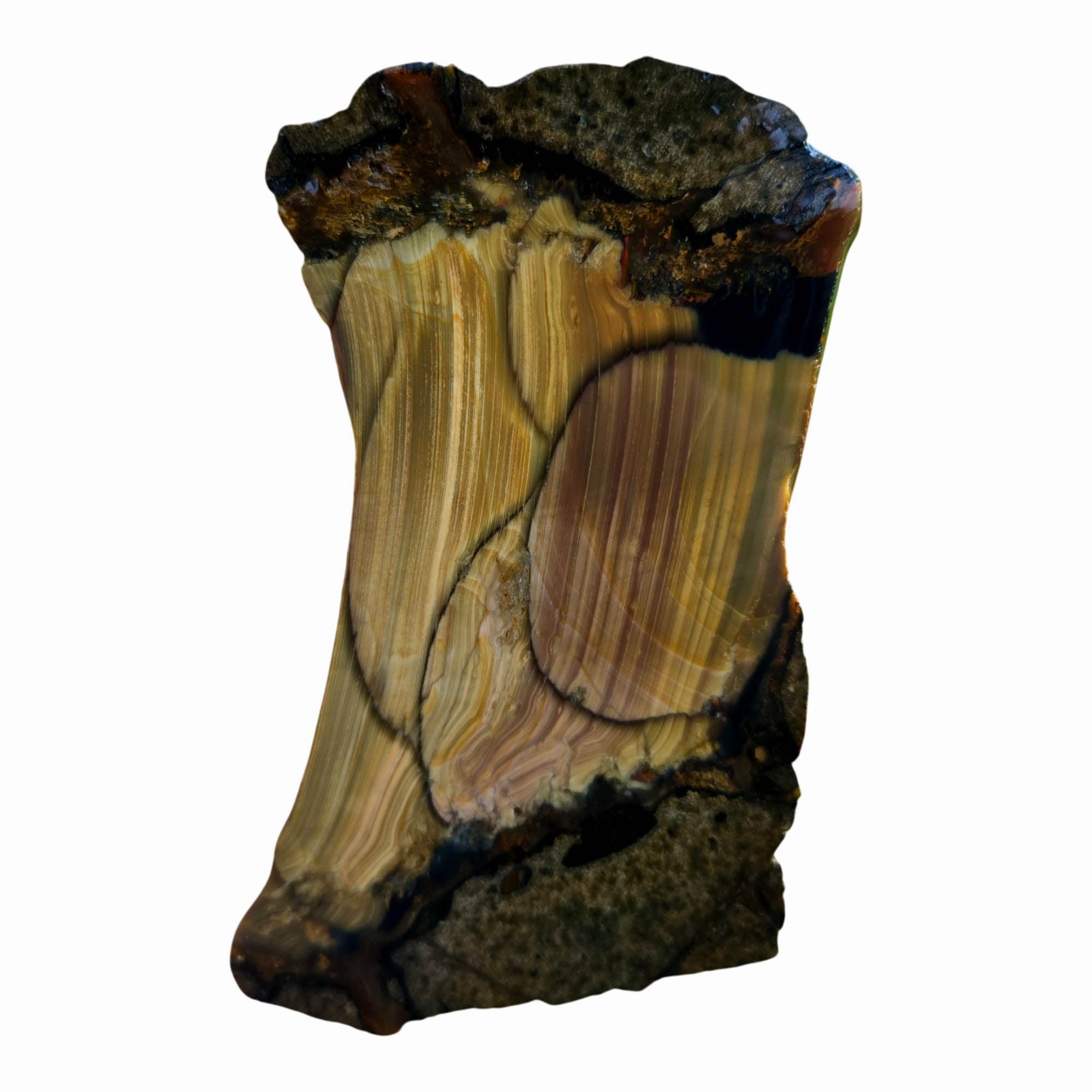 Blue Mountain Jasper Slab - Stacked Orbs Paintbrush Pattern #3800-Photo4