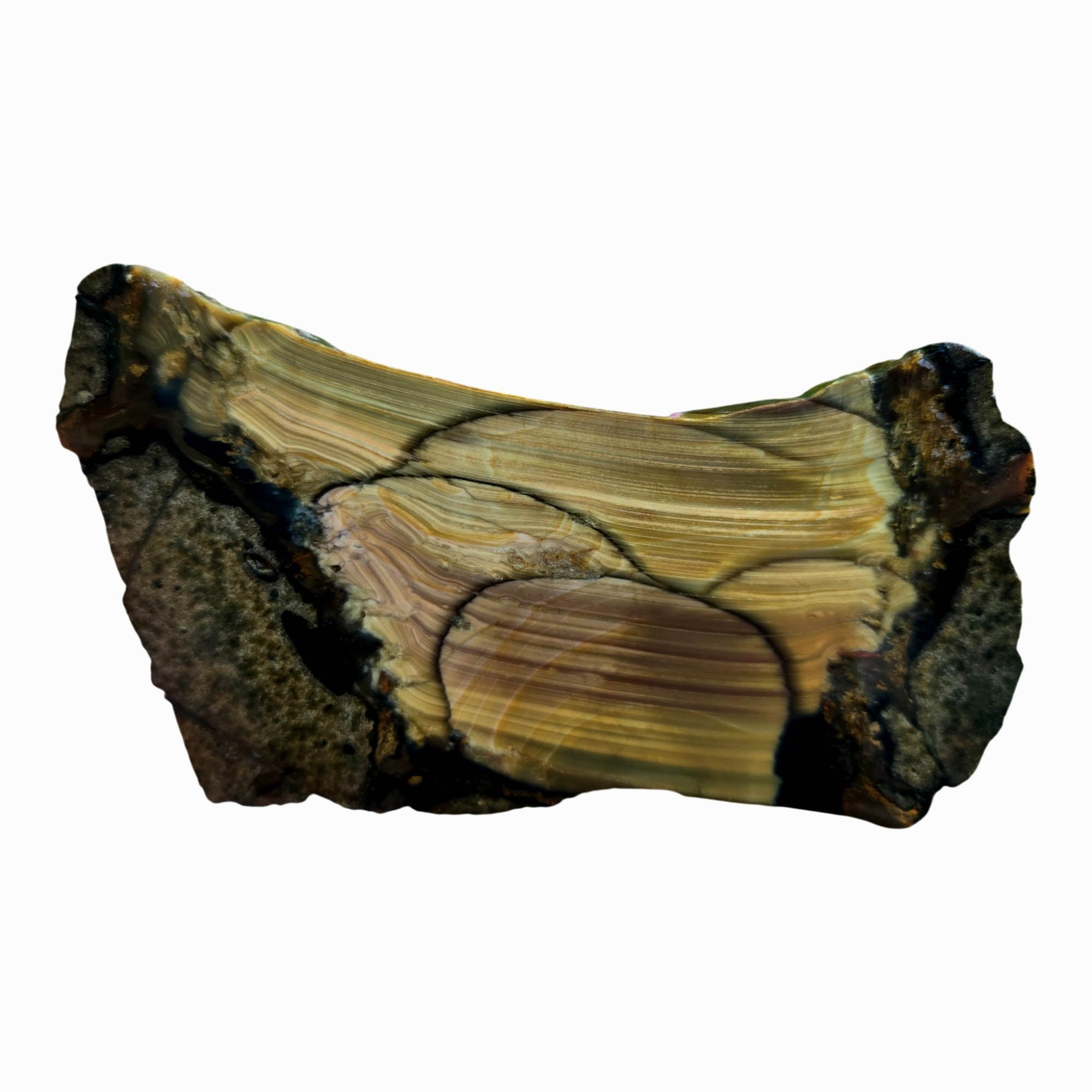 Blue Mountain Jasper Slab - Stacked Orbs Paintbrush Pattern #3800-Photo5