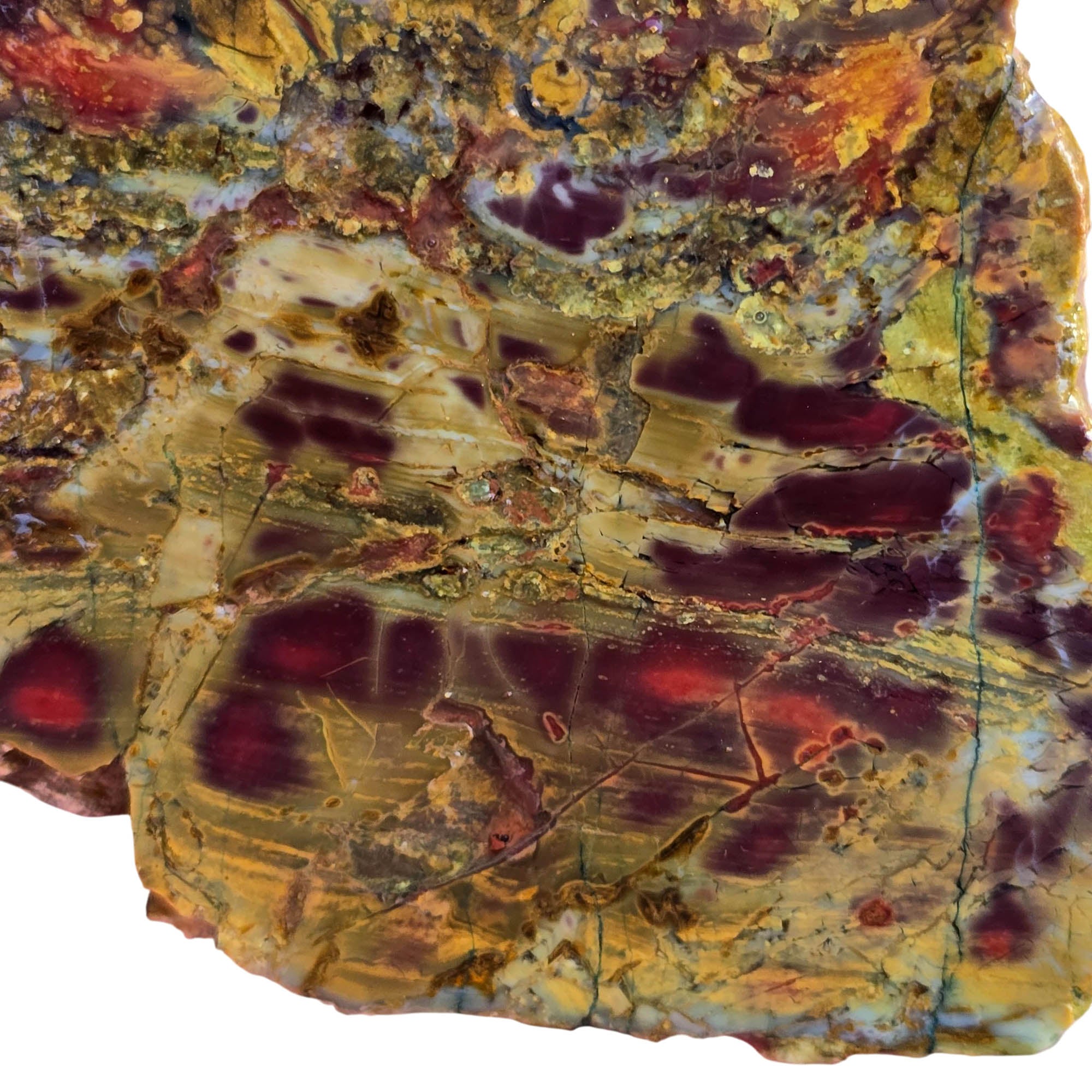 Kaleidoscope Jasper Slab - Purple Pseudoflame Pattern Oregon Bog Wood #3801-Photo3