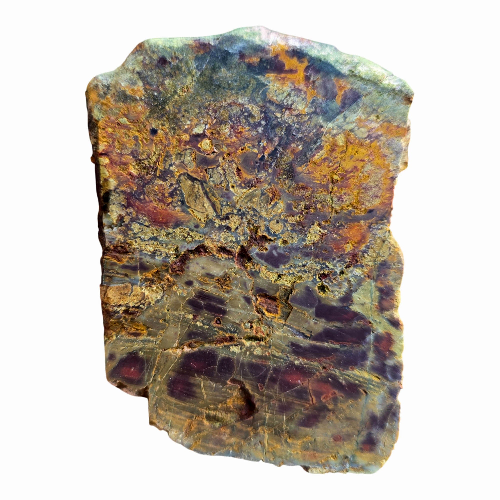 Kaleidoscope Jasper Slab Dry - Purple Pseudoflame Pattern Oregon Bog Wood #3801-Photo5