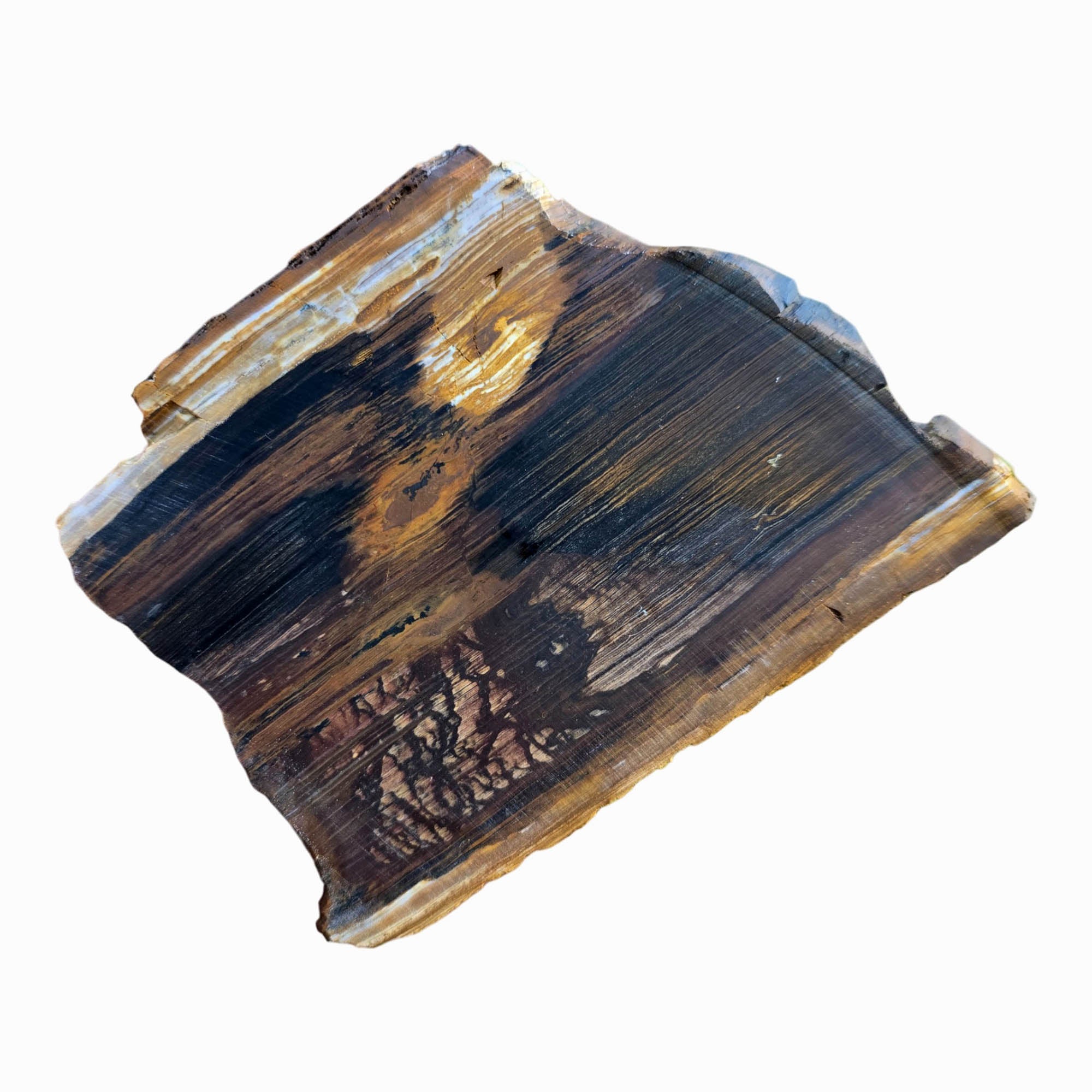 Biggs Picture Jasper Slab Dry - Coffee Cream Lake Moon Scene #3802-Photo6