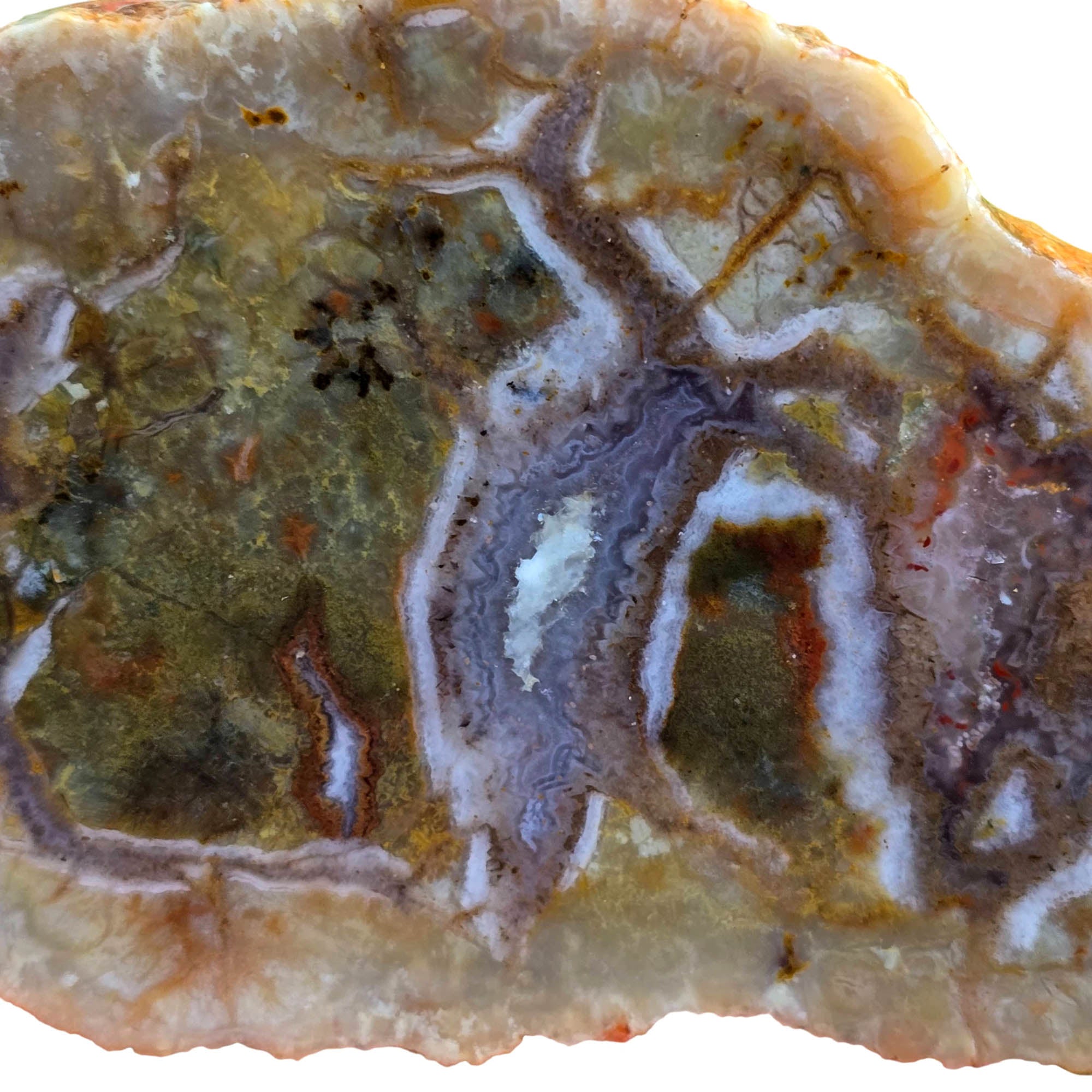 Green Coprolite Fossil Slab with Agate Rivers Prehistoric #3803-2
