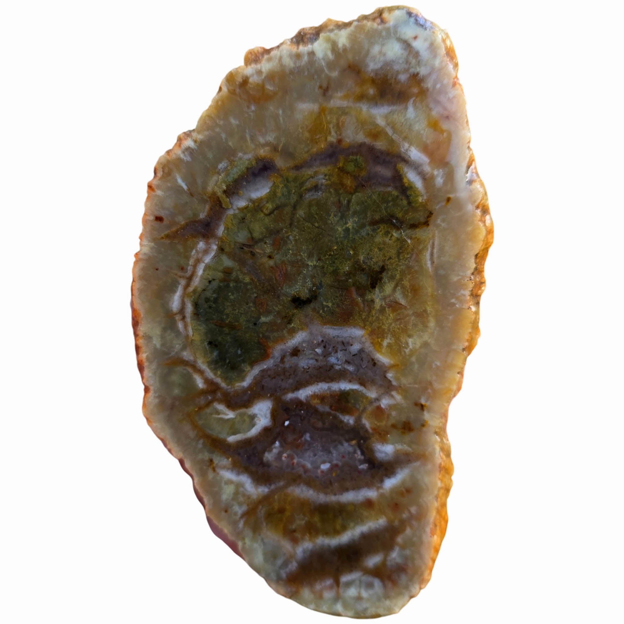 Green Coprolite Fossil Slab with Agate Rivers Prehistoric #3803-3