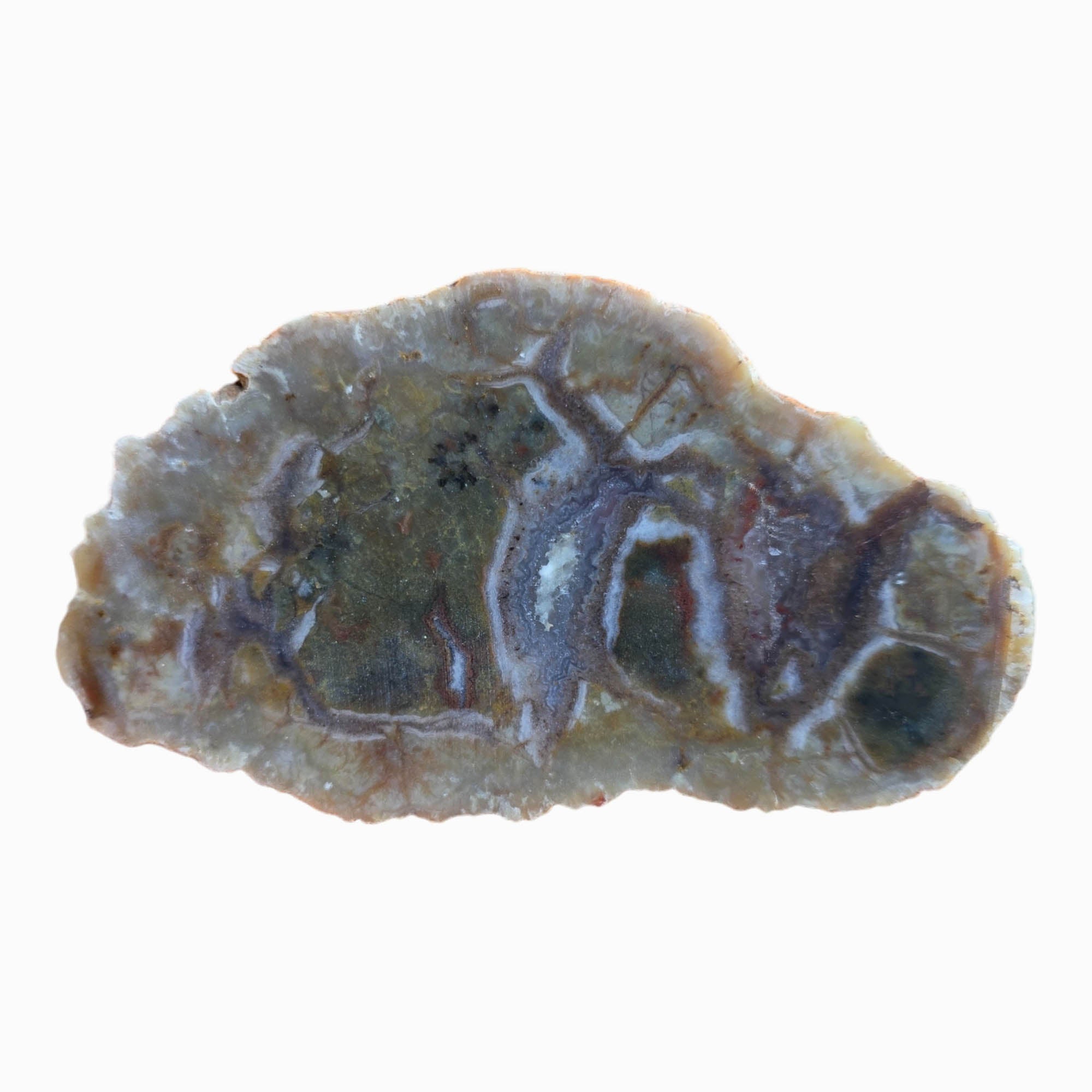 Green Coprolite Fossil Slab Dry with Agate Rivers Prehistoric #3803-4