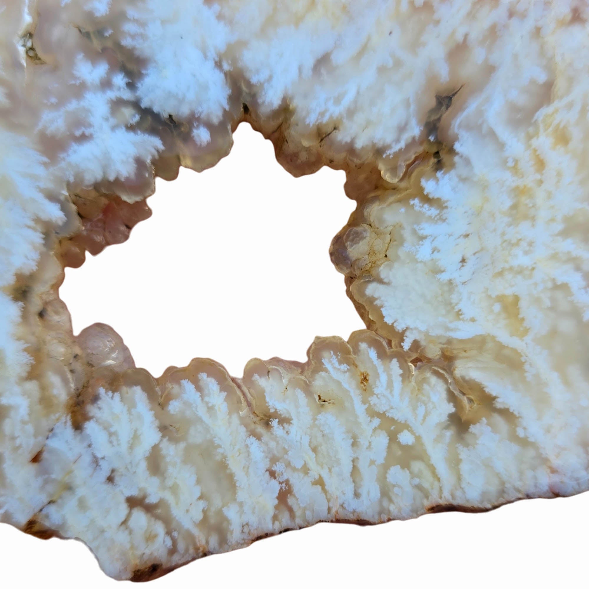 Stinking Water Plume Agate Slab – Botryoidal Center White Plumes #3804-Photo2