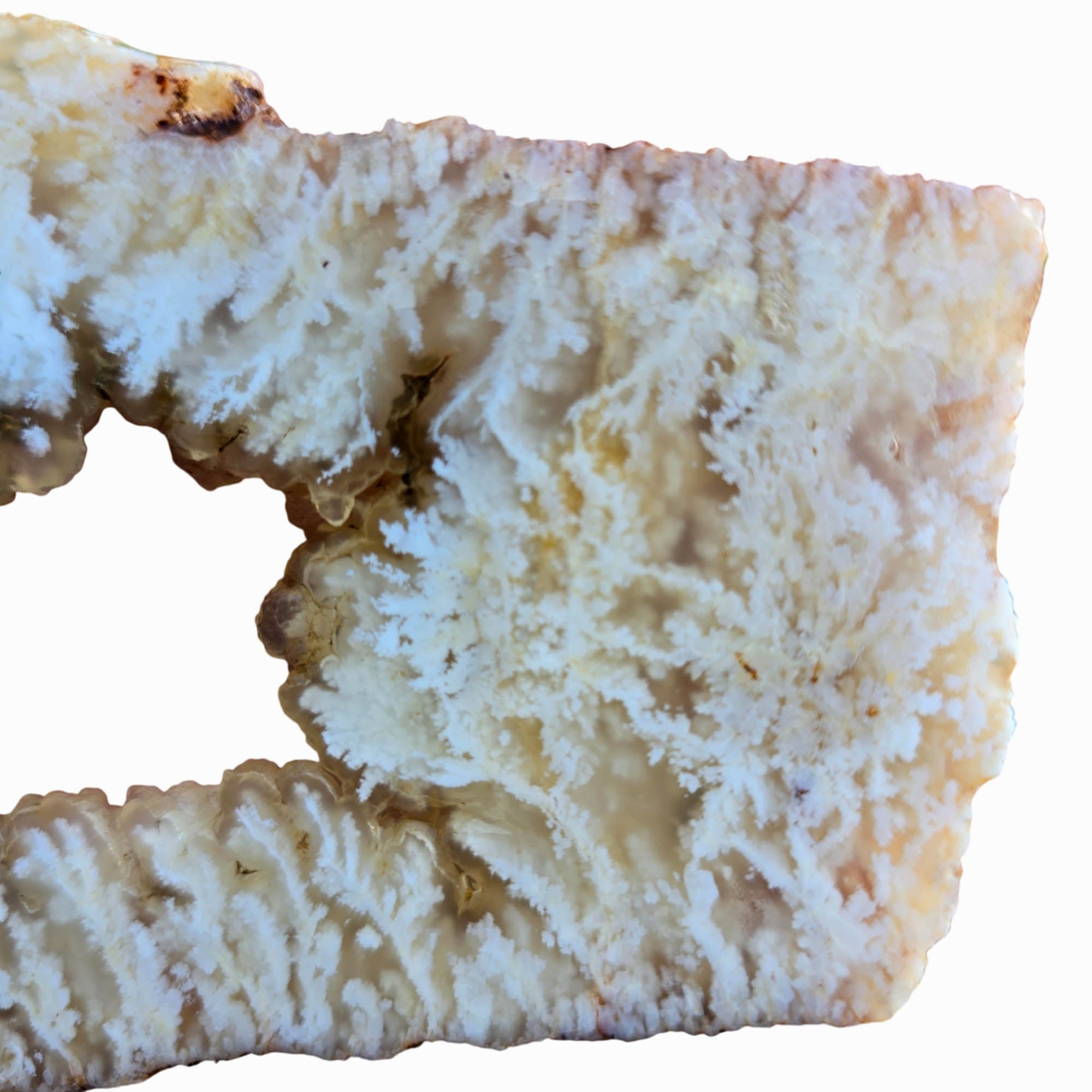 Stinking Water Plume Agate Slab – Botryoidal Center White Plumes #3804-Photo3