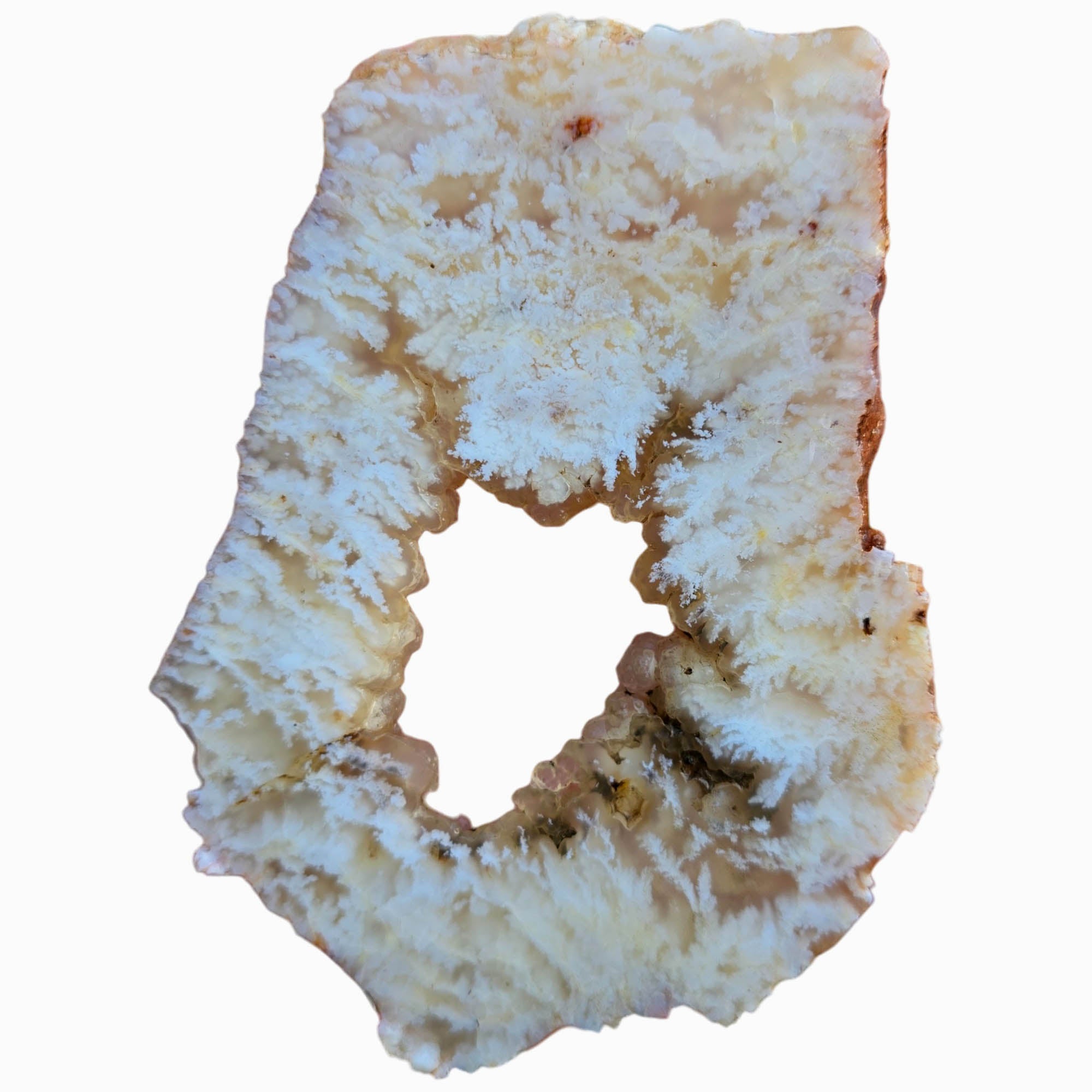 Stinking Water Plume Agate Slab – Botryoidal Center White Plumes #3804-Photo4