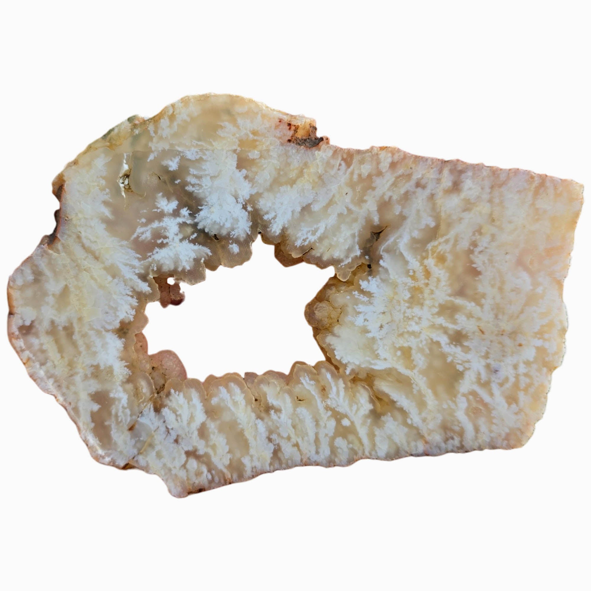 Stinking Water Plume Agate Slab Dry – Botryoidal Center White Plumes #3804-Photo6