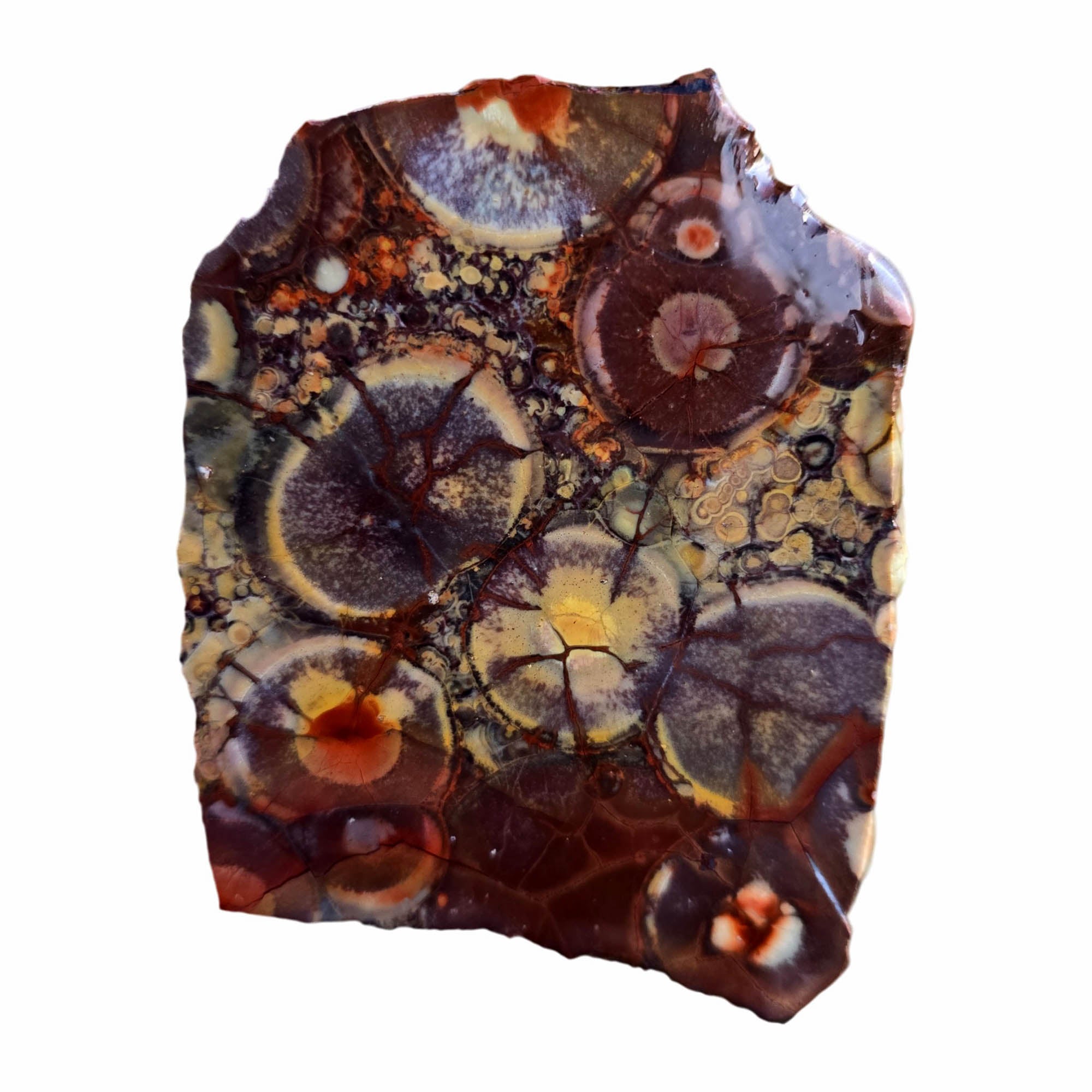Birdseye Rhyolite Slab - Orbicular Eyes Old Stock Mexico