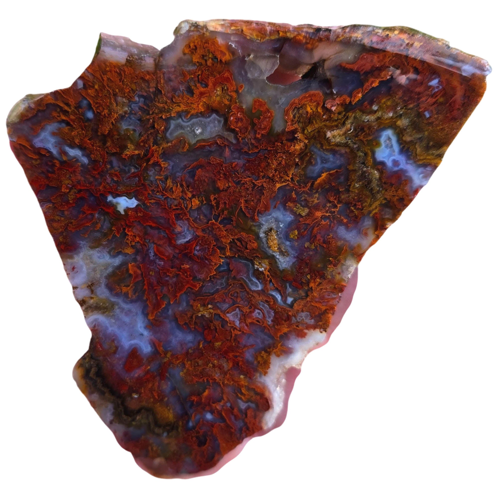 San Carlos Agate Slab - Red Moss High-Grade Mexican Discovery #3806-Photo2