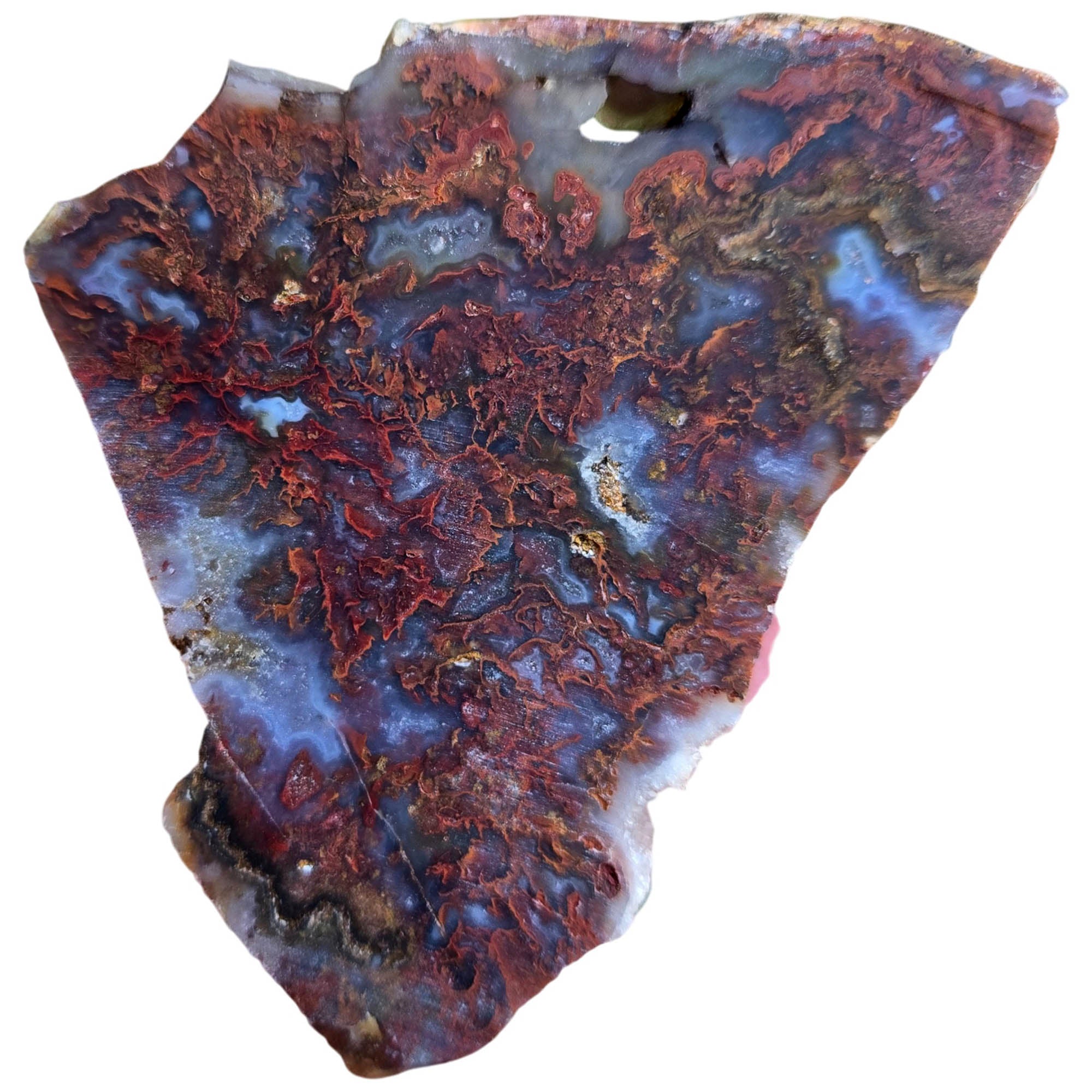San Carlos Agate Slab Dry - Red Moss High-Grade Mexican Discovery #3806-Photo5