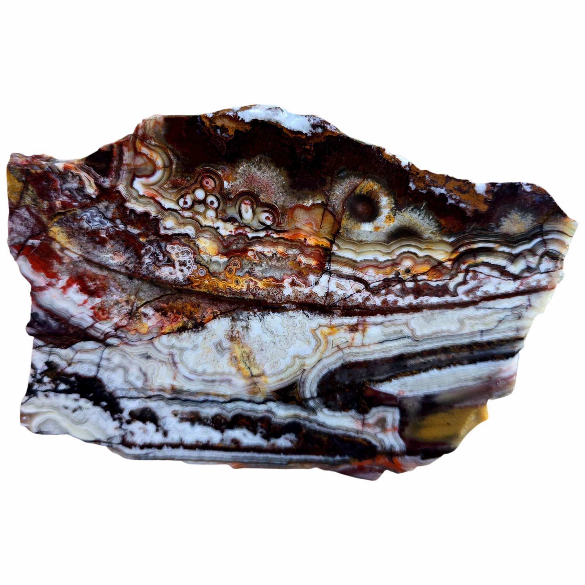 Crazy Lace Agate Slab – Multicolor Tubelike Orange Red White #3807-Photo2