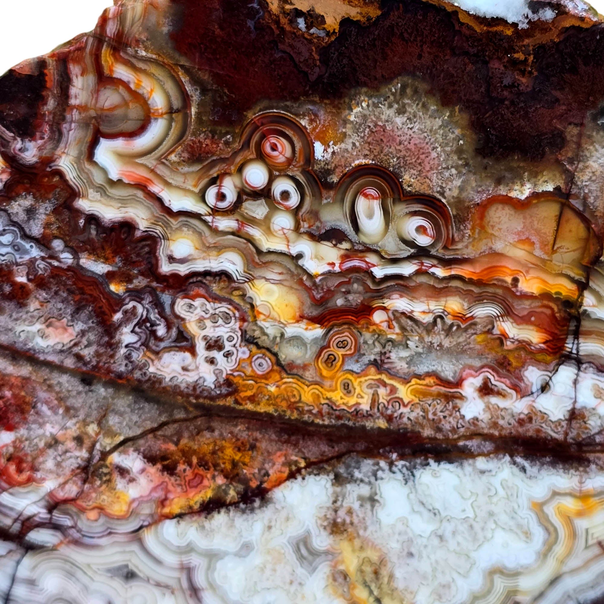Crazy Lace Agate Slab – Multicolor Tubelike Orange Red White #3807-Photo3