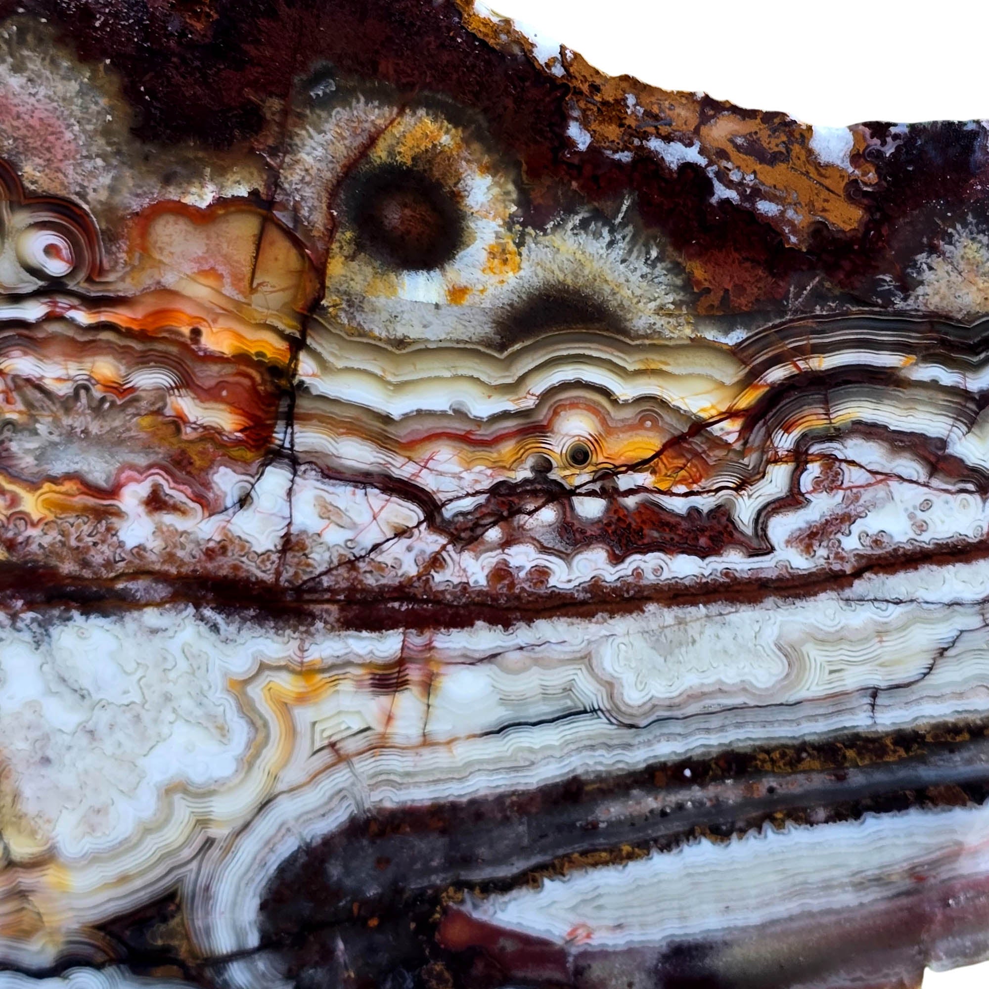 Crazy Lace Agate Slab – Multicolor Tubelike Orange Red White #3807-Photo4