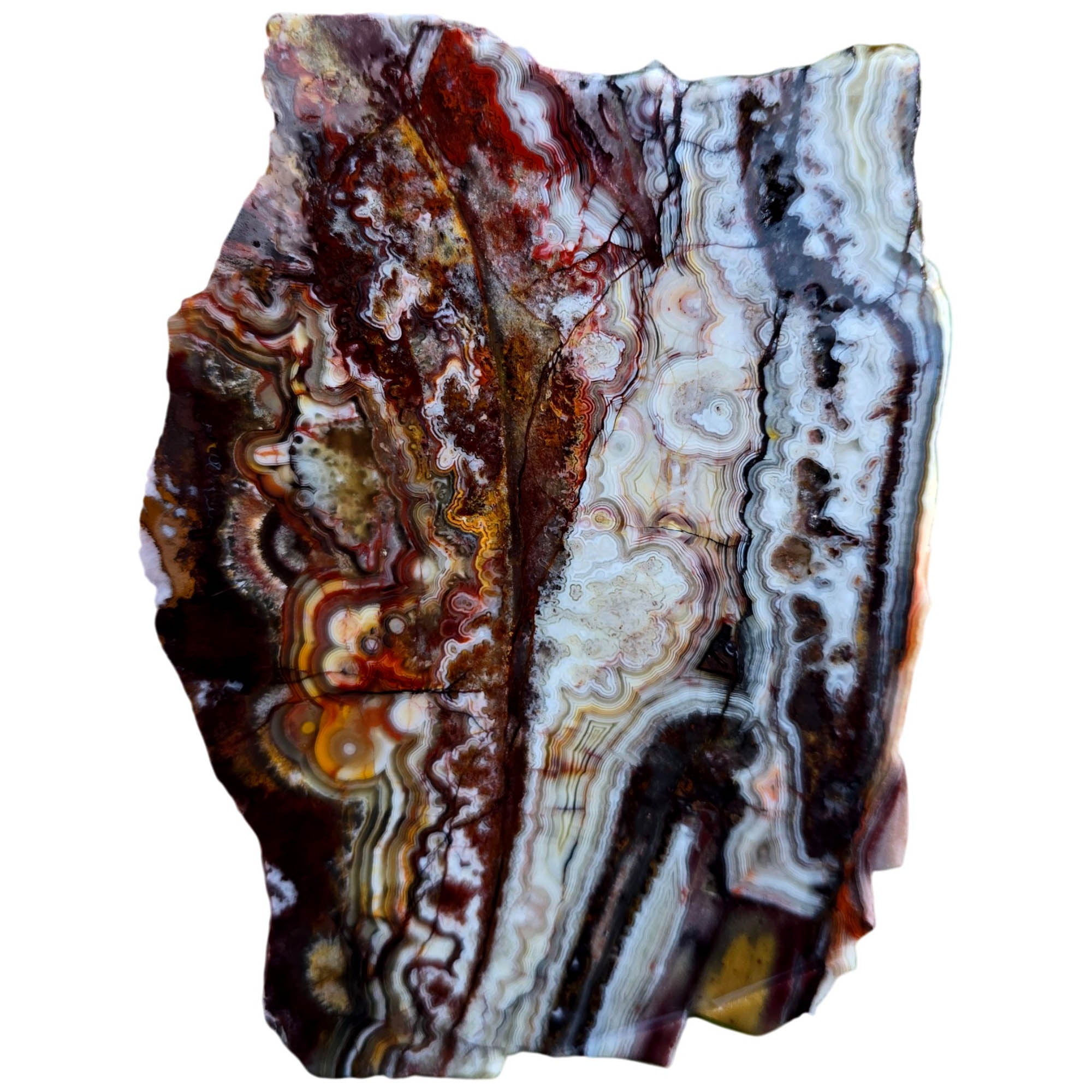 Crazy Lace Agate Slab – Multicolor Tubelike Orange Red White #3807-Photo5